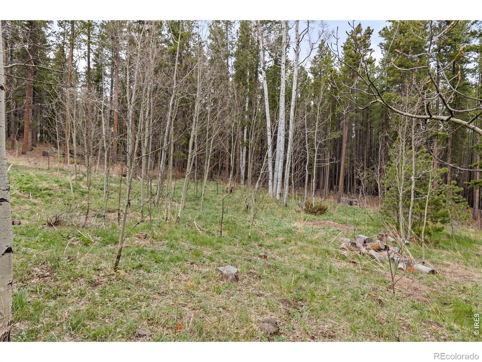 MLS Image #35 for 307  dudes drive,rollinsville, Colorado