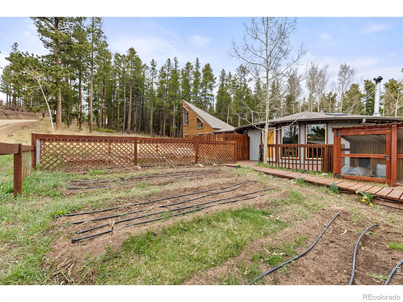 MLS Image #5 for 307  dudes drive,rollinsville, Colorado