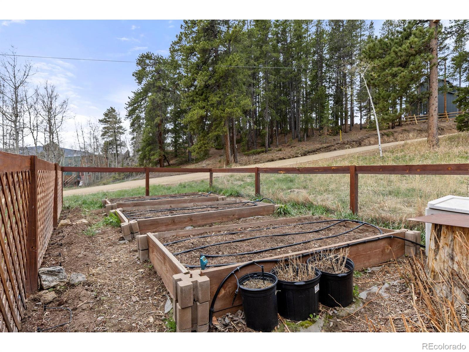 MLS Image #7 for 307  dudes drive,rollinsville, Colorado
