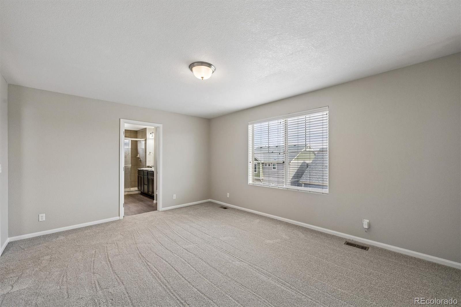 MLS Image #10 for 18273 e 52nd avenue,denver, Colorado