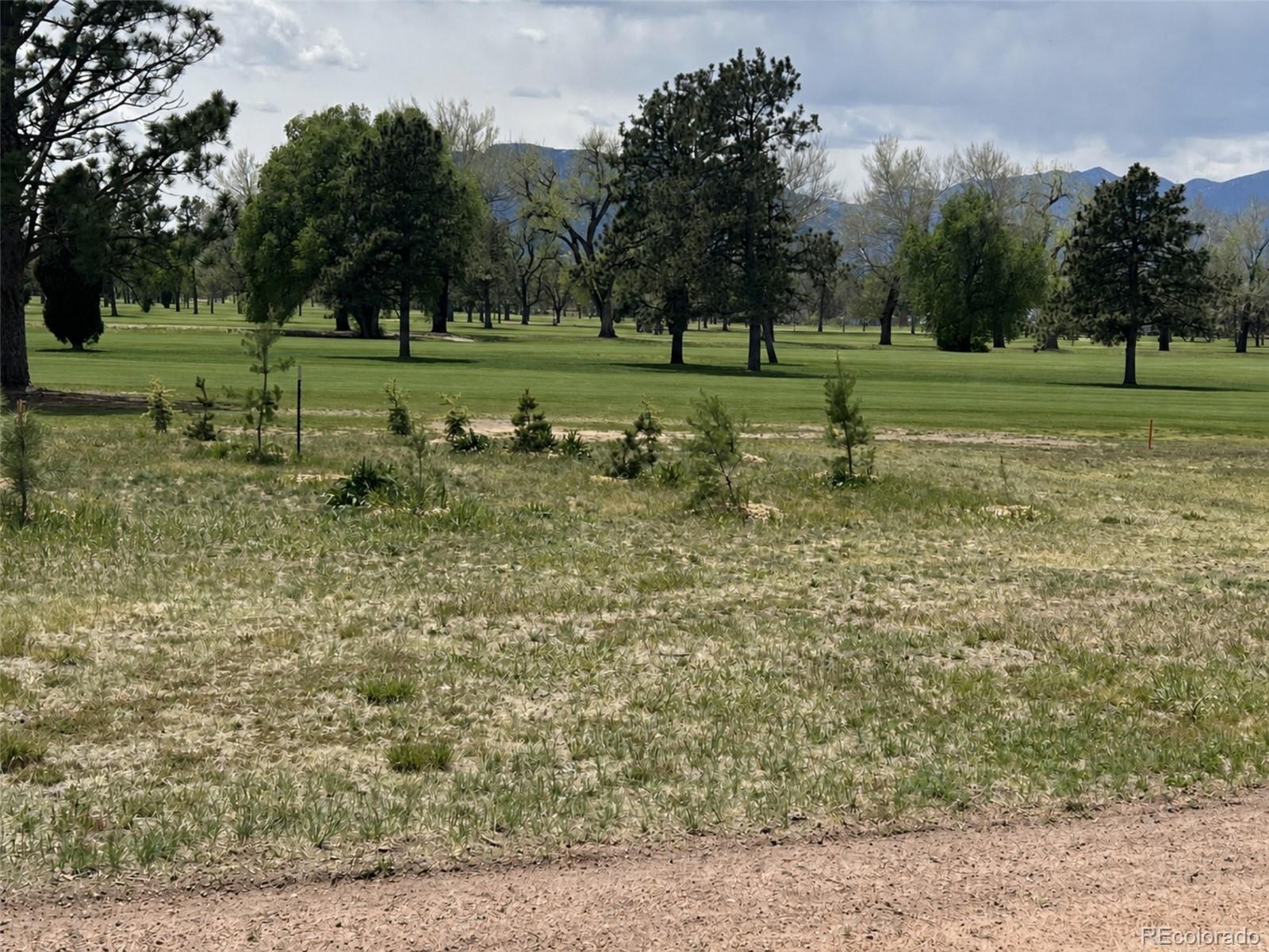 MLS Image #2 for 1159 e madison street,colorado springs, Colorado