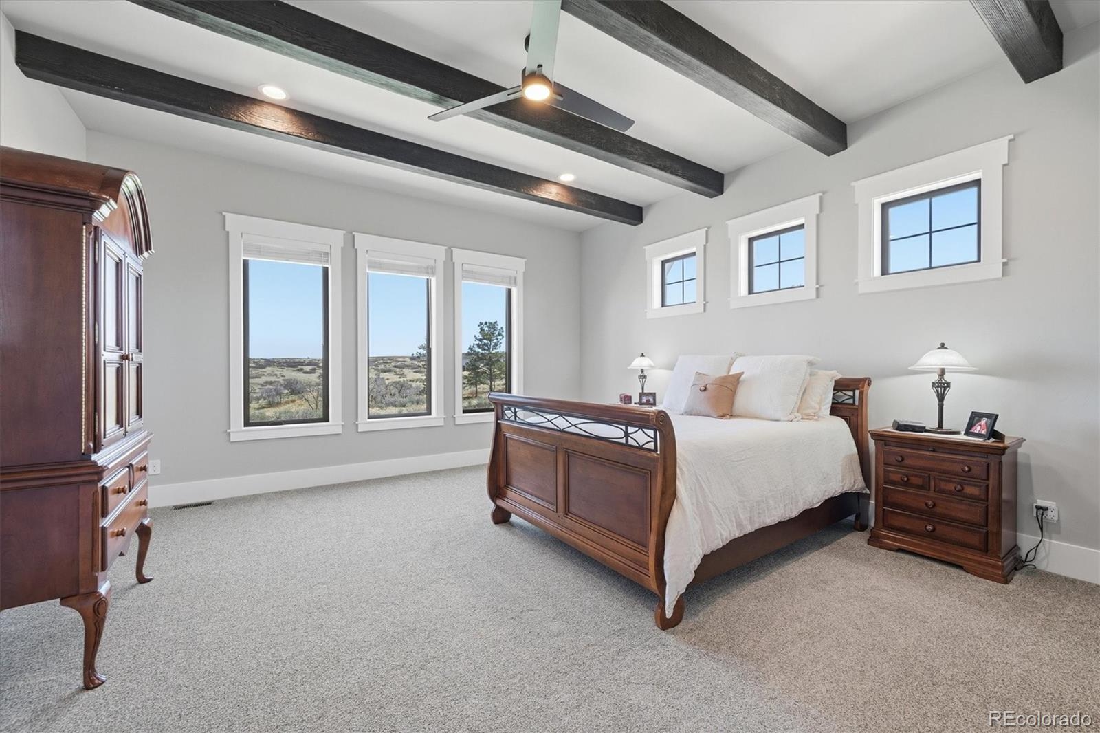 MLS Image #12 for 2852  mystic doe court,franktown, Colorado