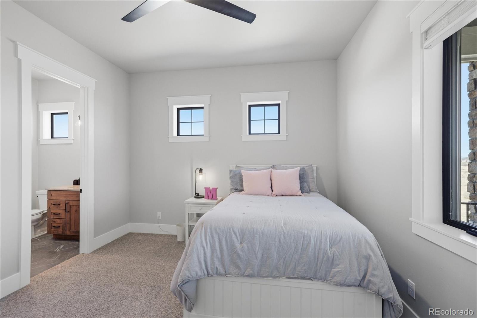 MLS Image #17 for 2852  mystic doe court,franktown, Colorado