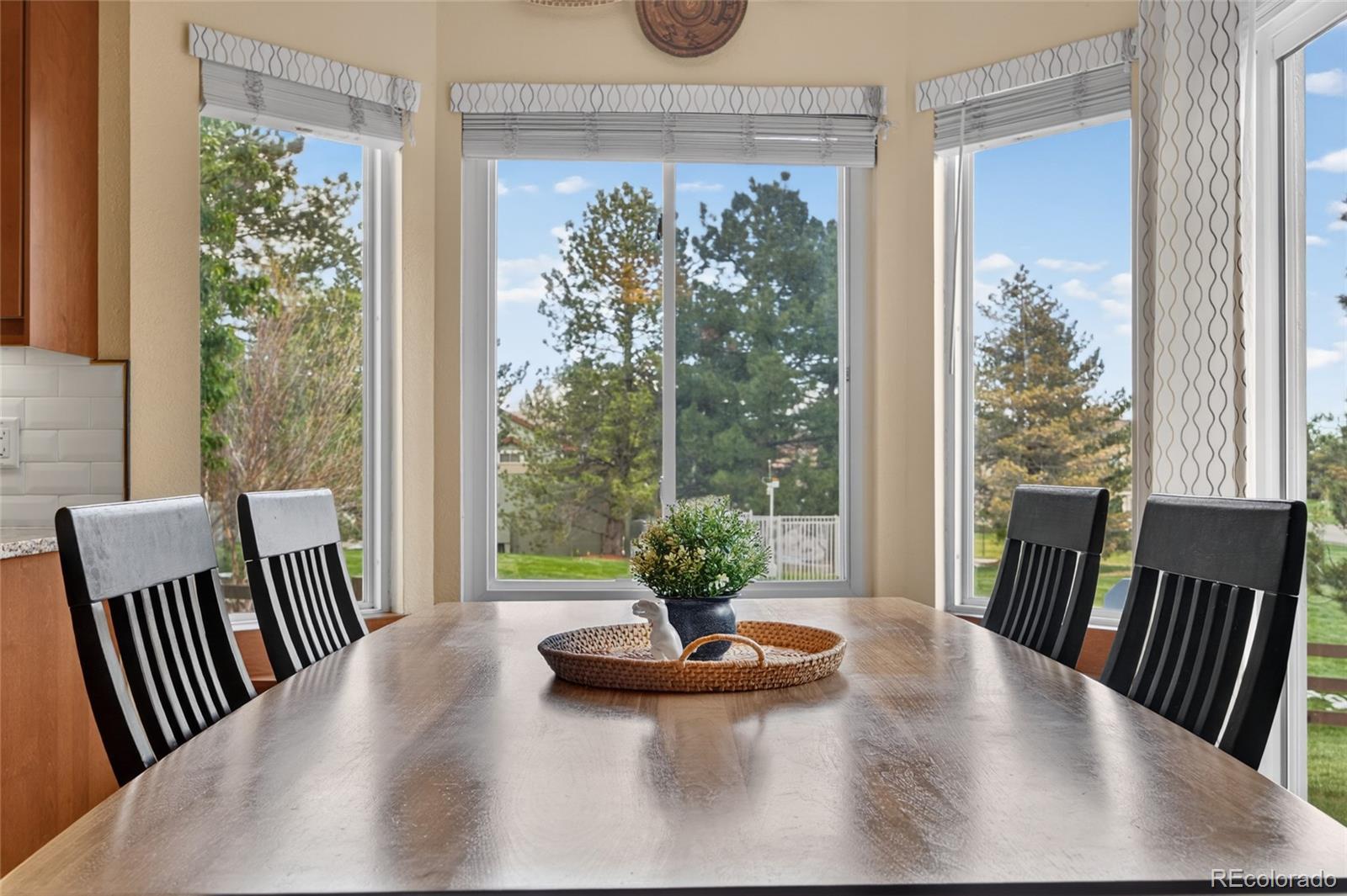 MLS Image #11 for 10232  mica way,parker, Colorado
