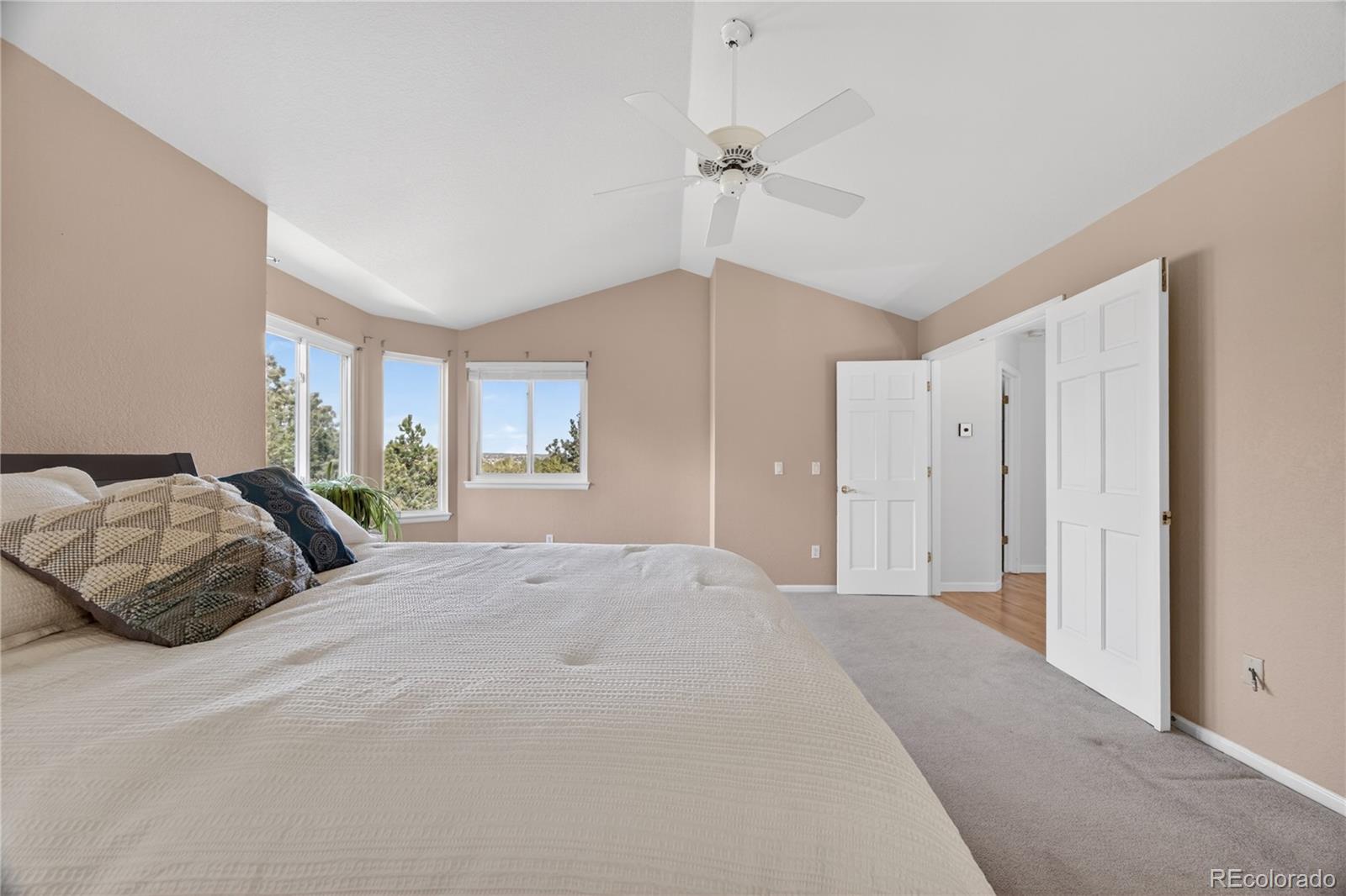 MLS Image #19 for 10232  mica way,parker, Colorado