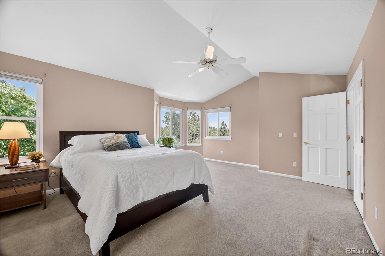 MLS Image #20 for 10232  mica way,parker, Colorado