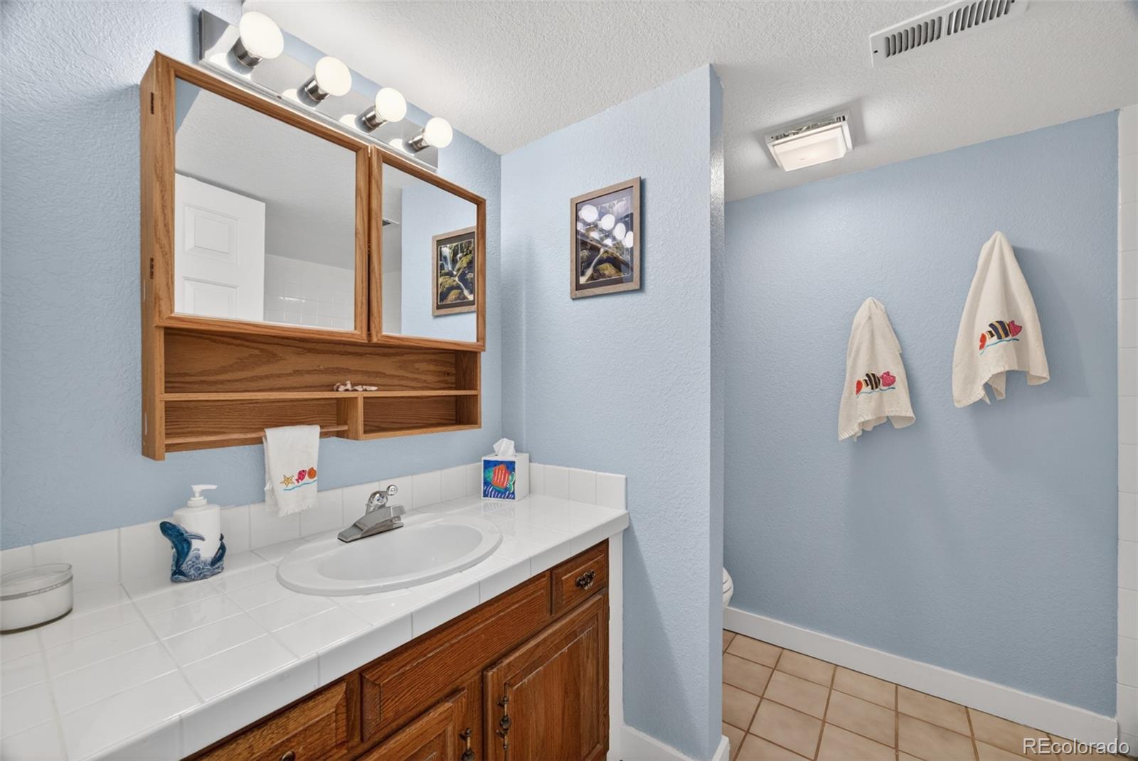 MLS Image #38 for 10232  mica way,parker, Colorado