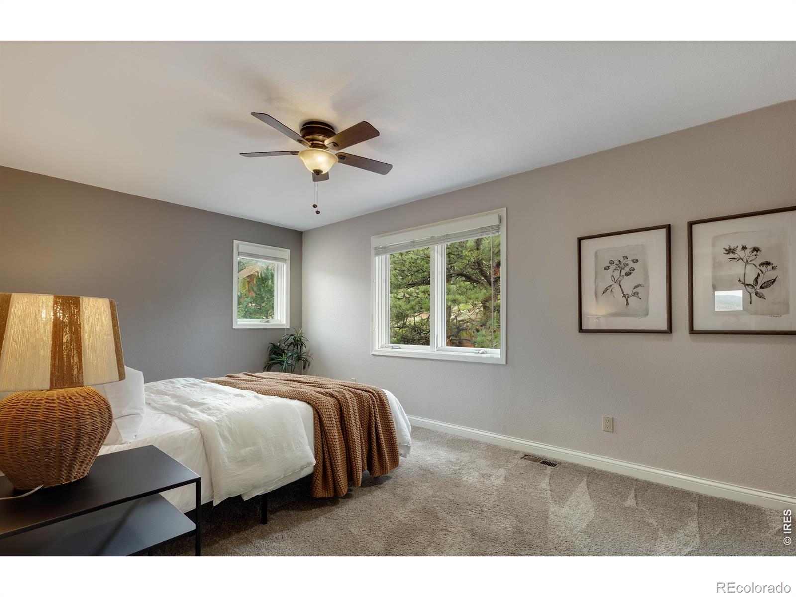 MLS Image #22 for 119  eagle canyon circle,lyons, Colorado