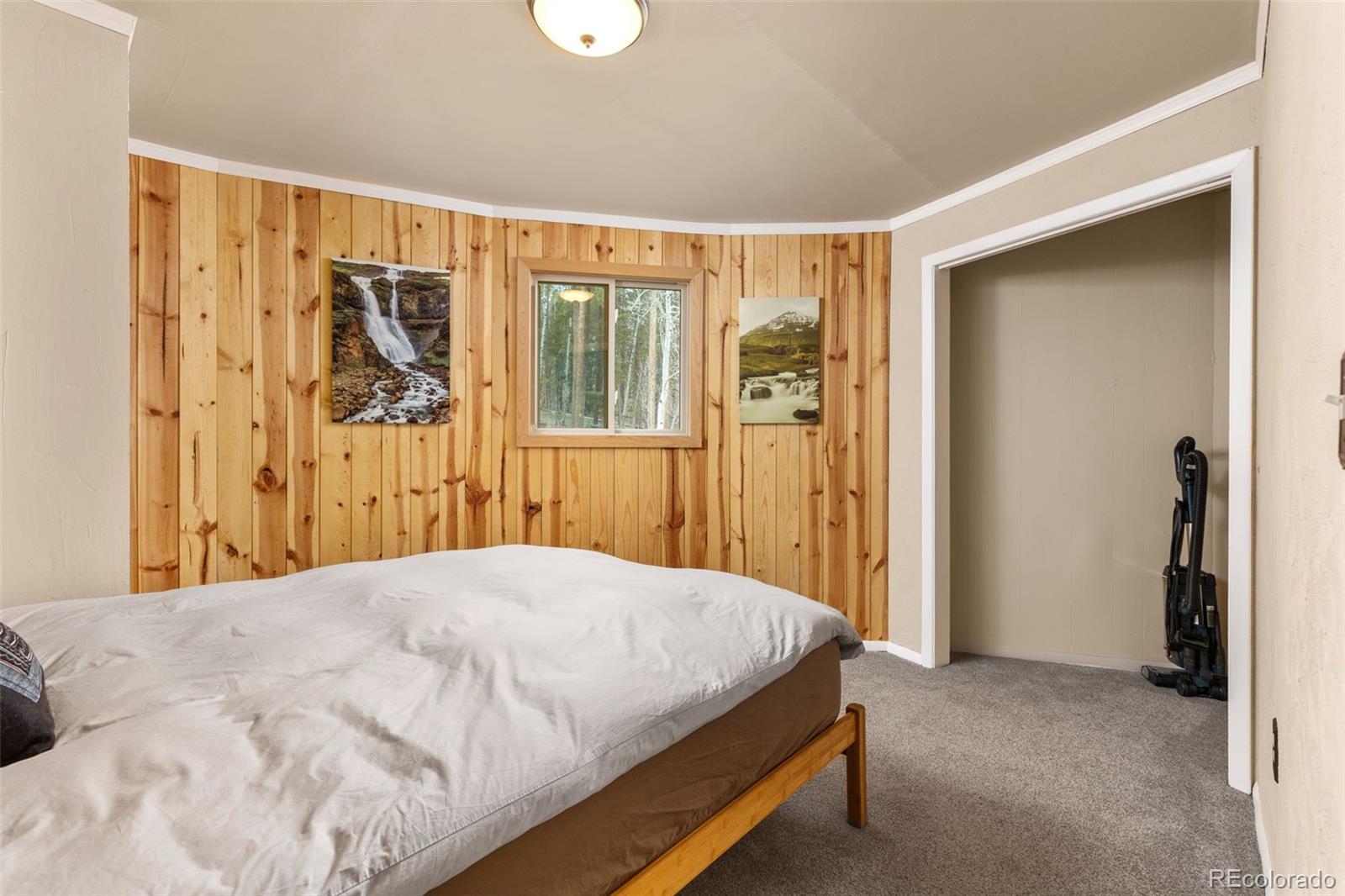 MLS Image #18 for 307  dudes drive,rollinsville, Colorado