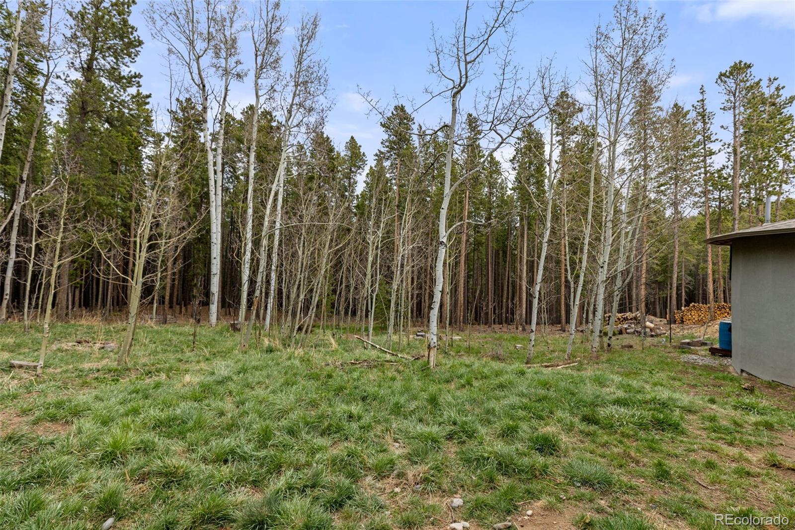 MLS Image #31 for 307  dudes drive,rollinsville, Colorado