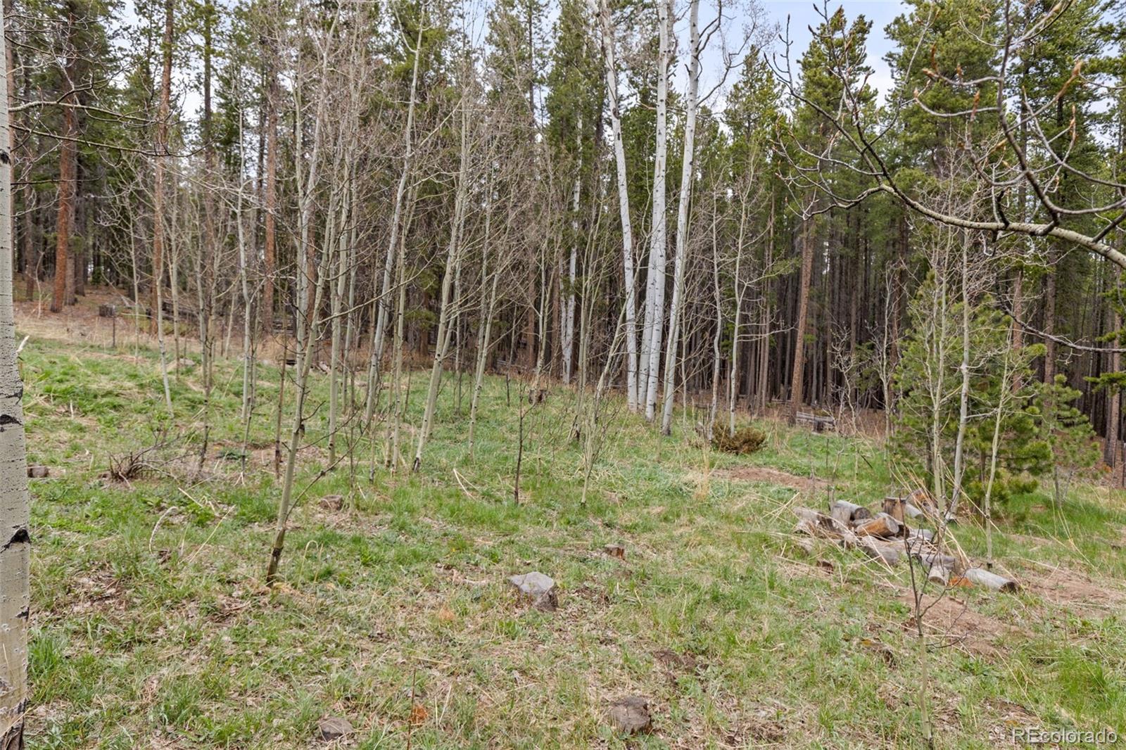 MLS Image #35 for 307  dudes drive,rollinsville, Colorado