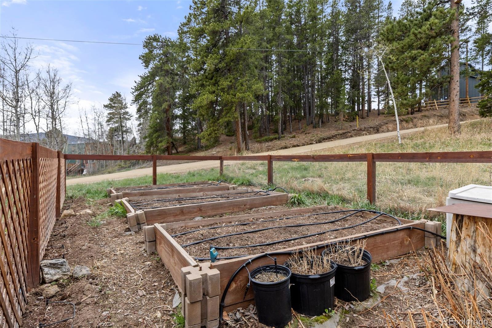 MLS Image #7 for 307  dudes drive,rollinsville, Colorado
