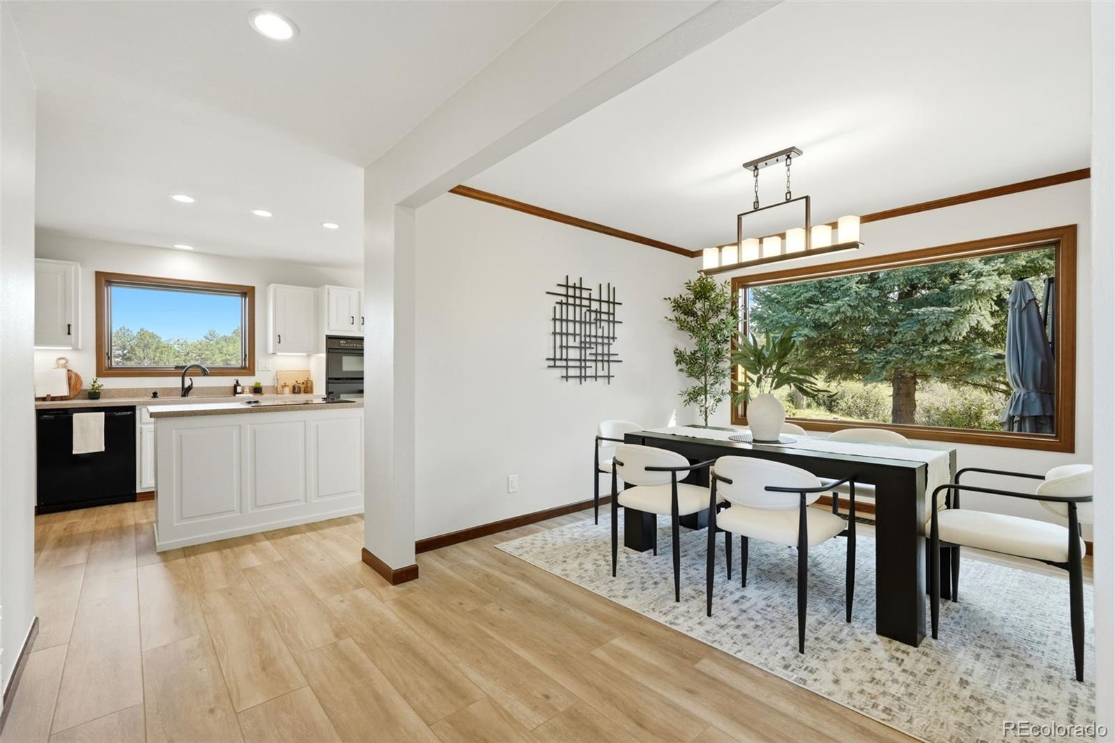 MLS Image #10 for 8920 n sunburst trail,parker, Colorado