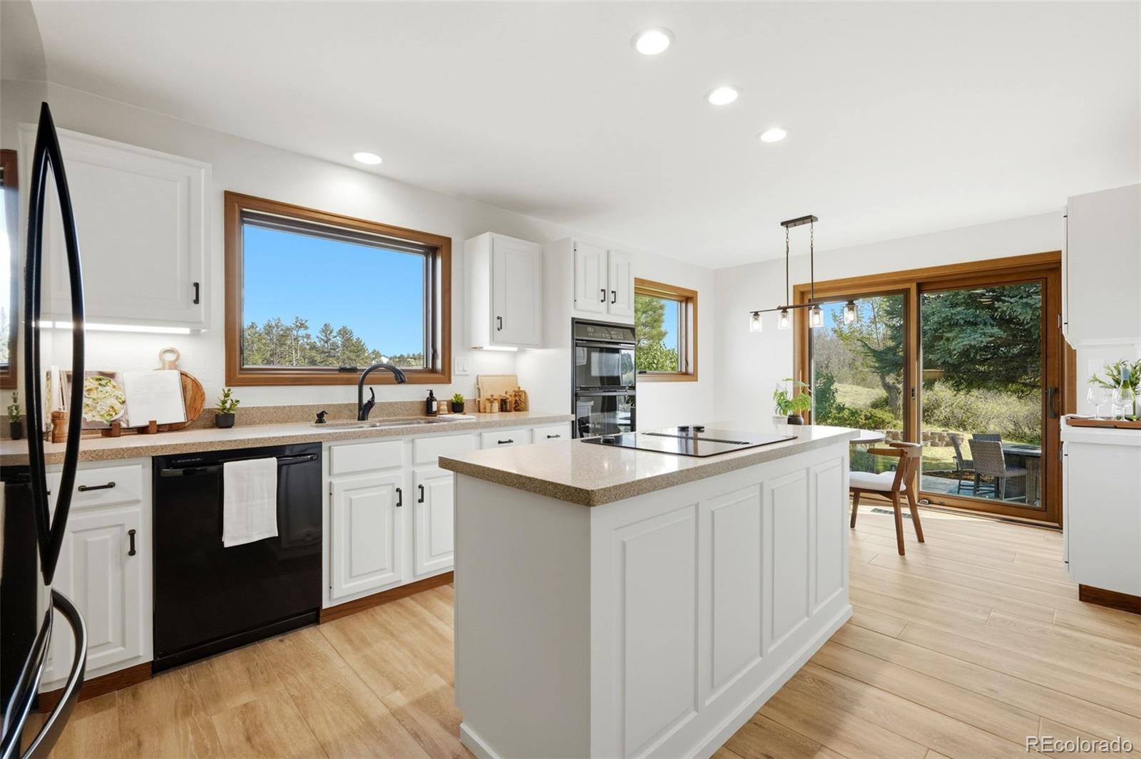 MLS Image #11 for 8920 n sunburst trail,parker, Colorado