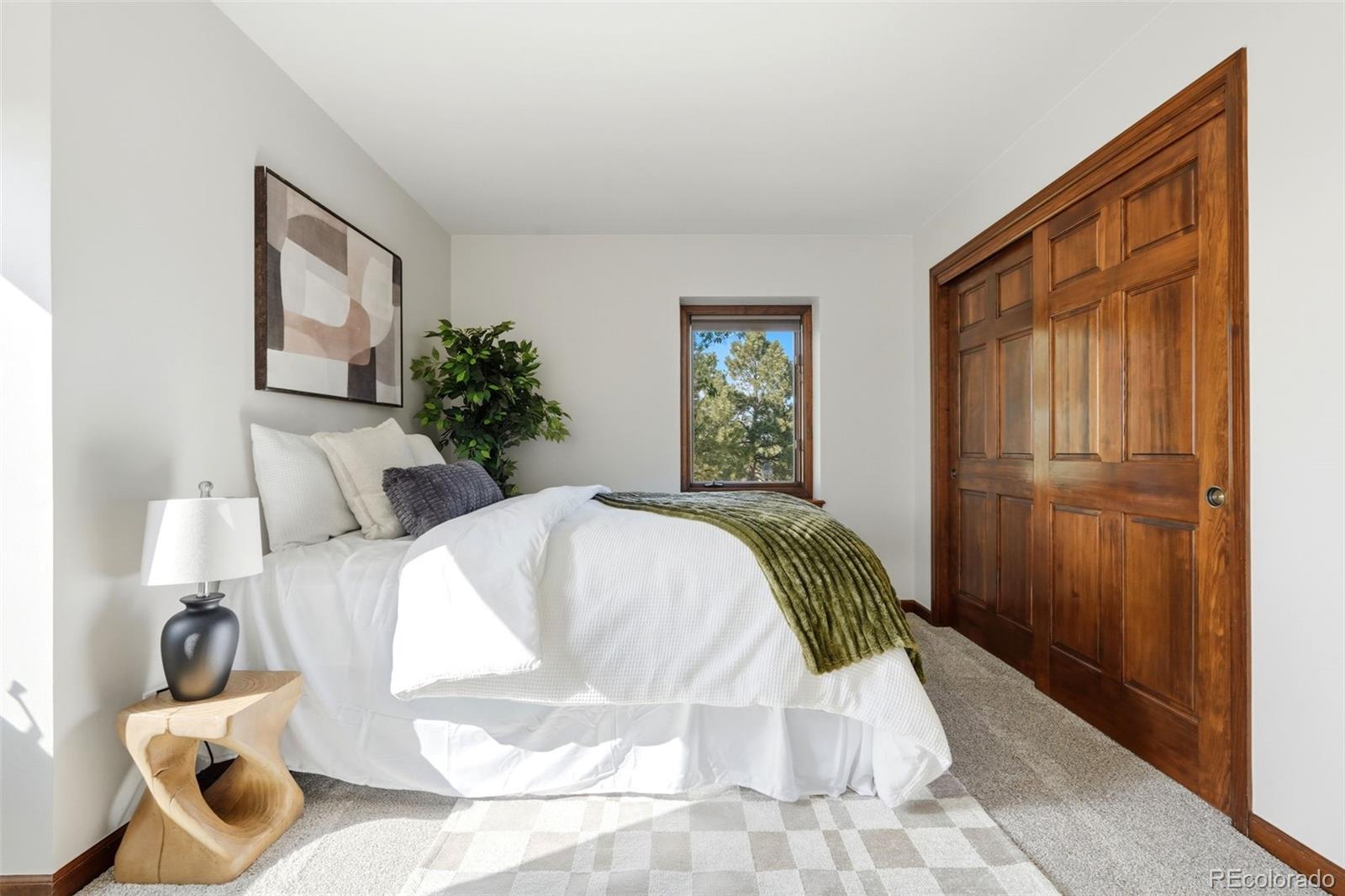 MLS Image #27 for 8920 n sunburst trail,parker, Colorado