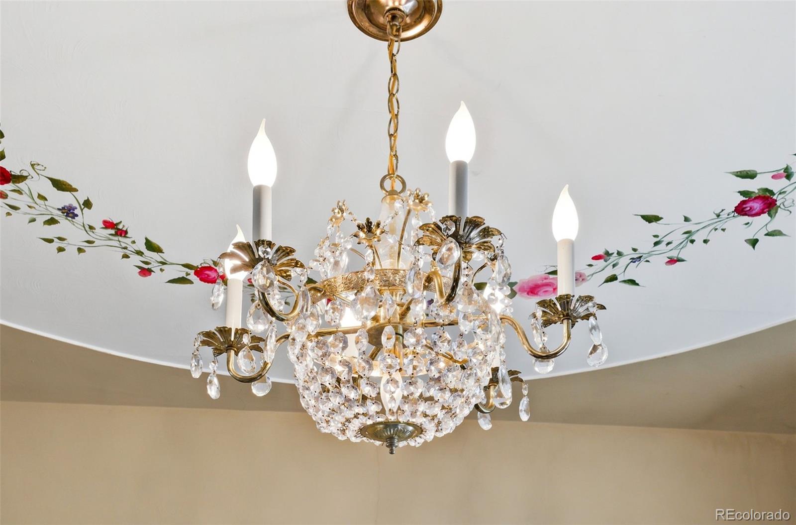 MLS Image #14 for 5341  columbine lane,denver, Colorado