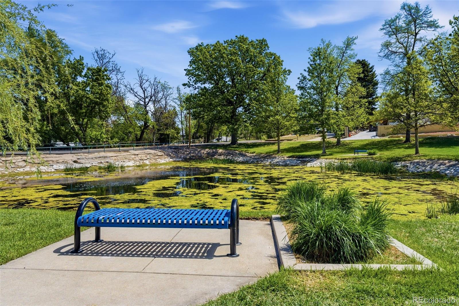 MLS Image #45 for 5341  columbine lane,denver, Colorado
