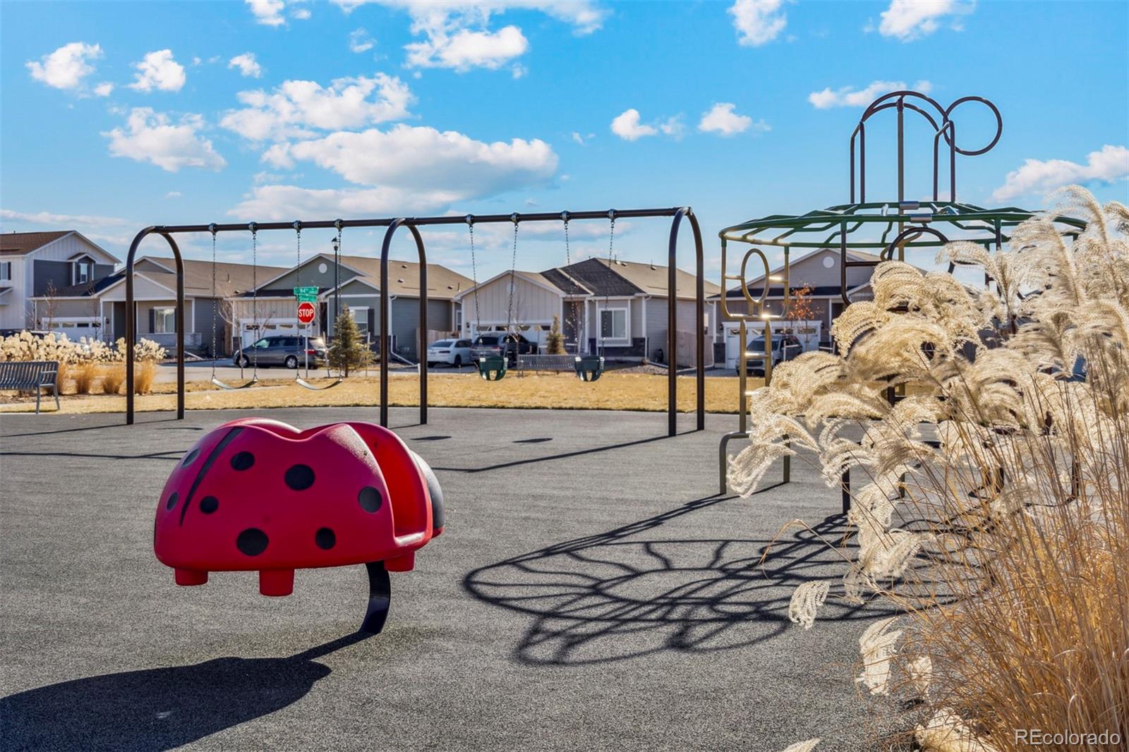 MLS Image #12 for 17920 e 94th avenue,commerce city, Colorado