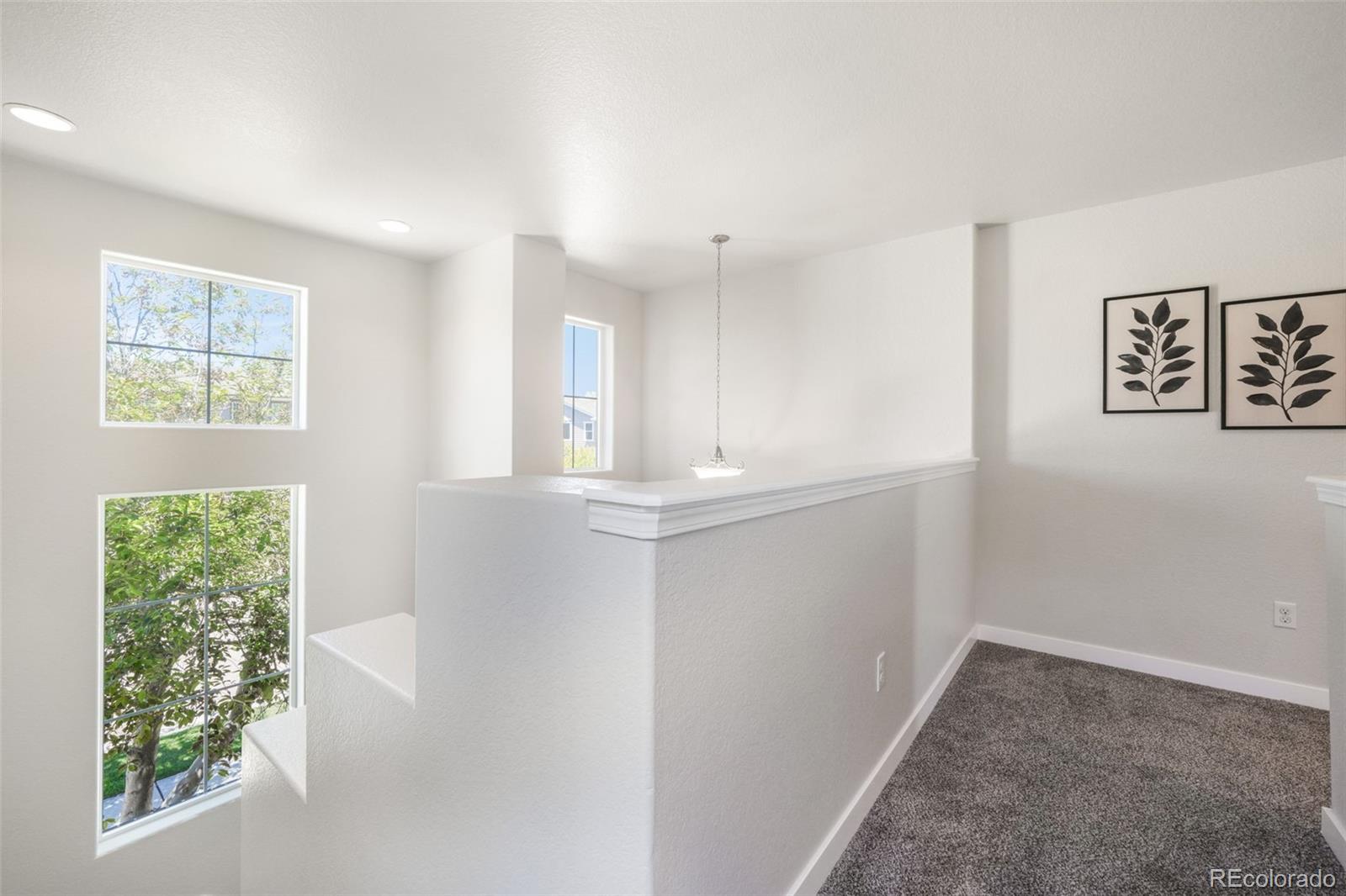 MLS Image #18 for 11674  wildwood ridge drive,colorado springs, Colorado
