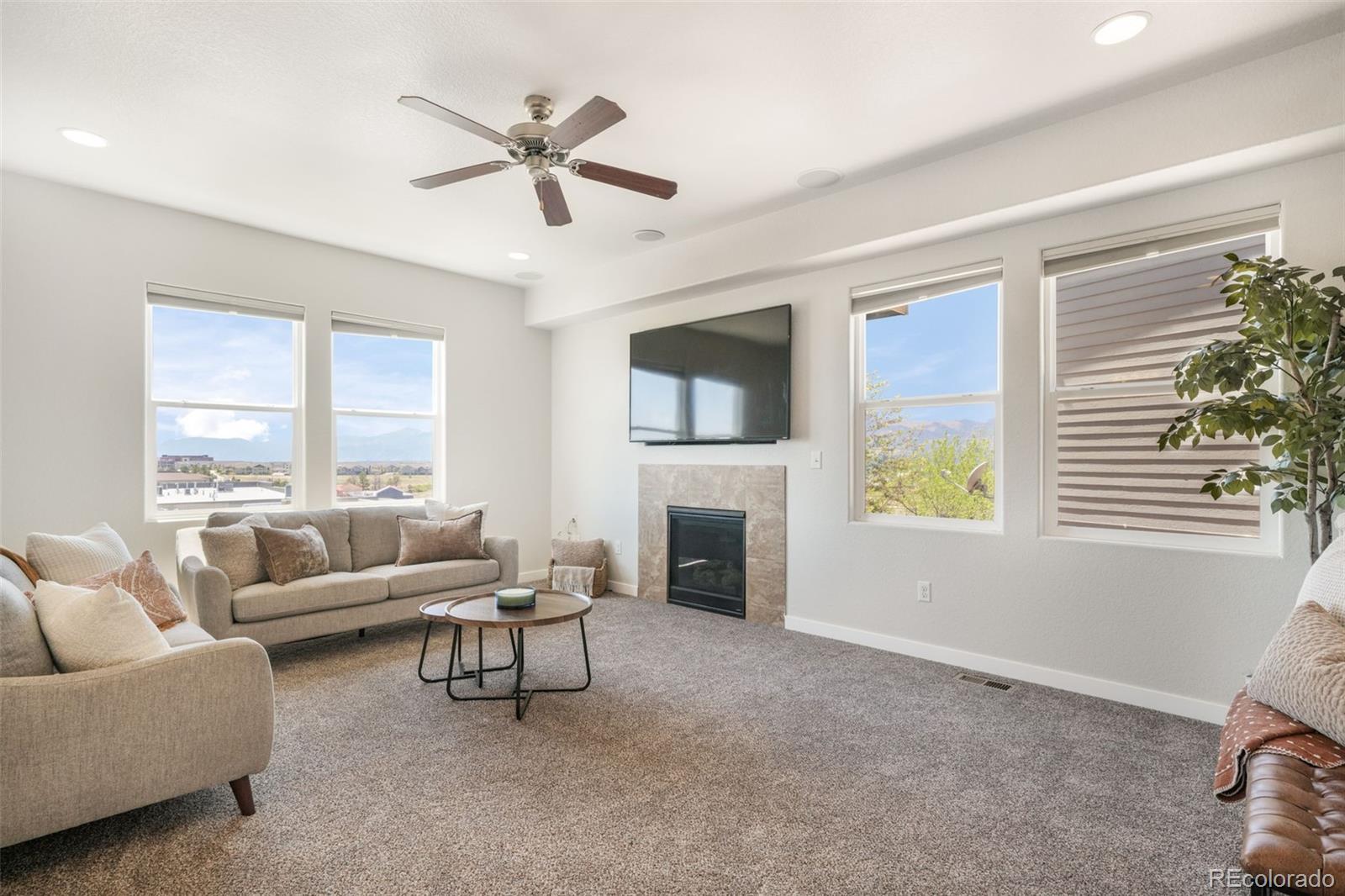MLS Image #6 for 11674  wildwood ridge drive,colorado springs, Colorado