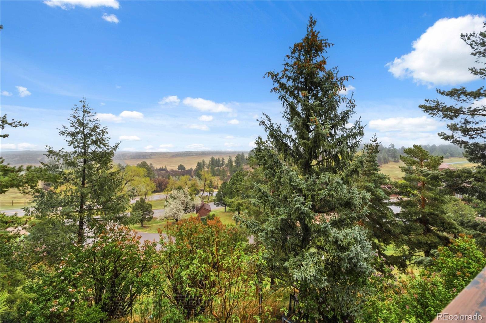 MLS Image #22 for 4535  sentinel rock  ,larkspur, Colorado