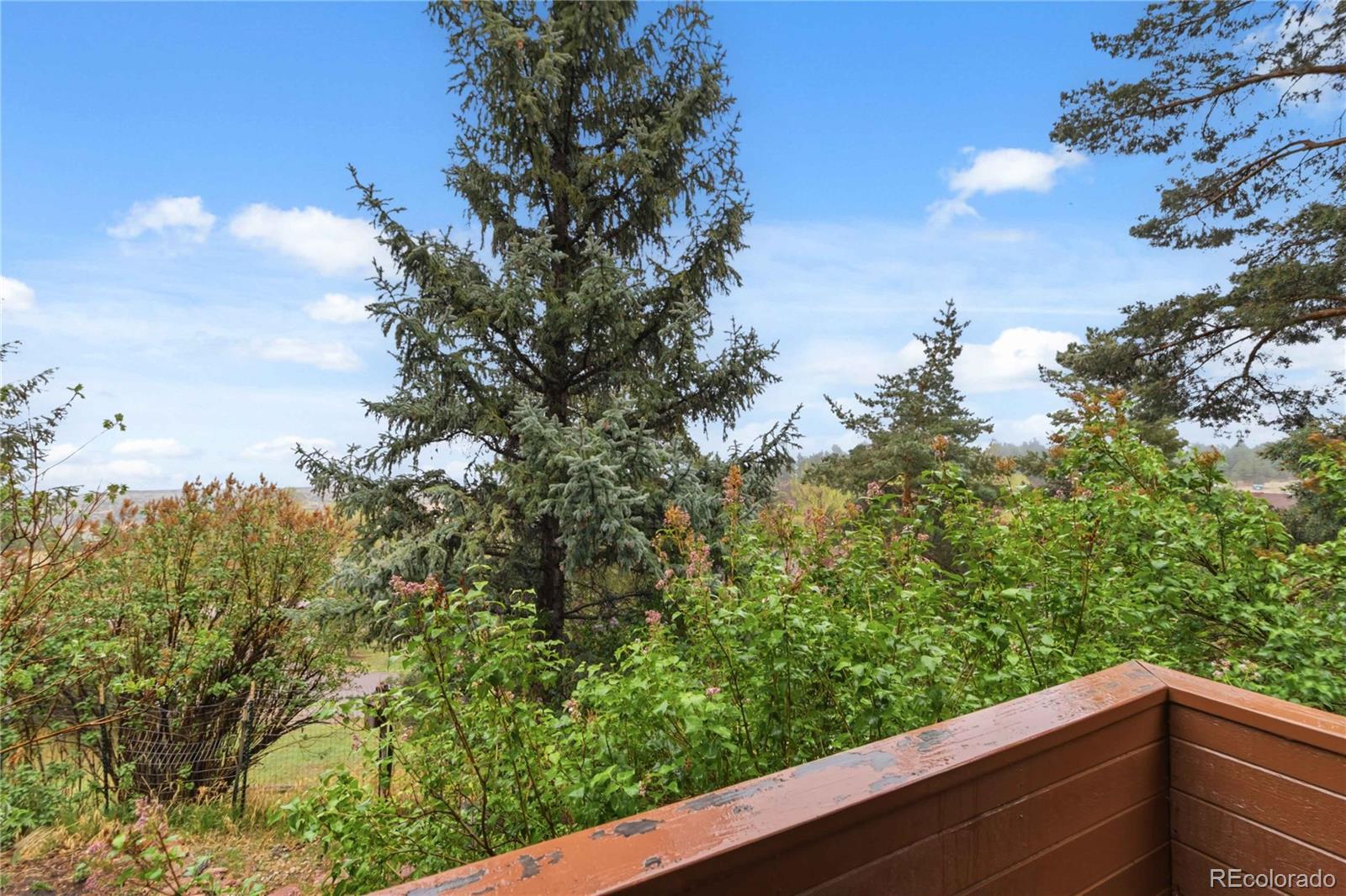MLS Image #40 for 4535  sentinel rock  ,larkspur, Colorado