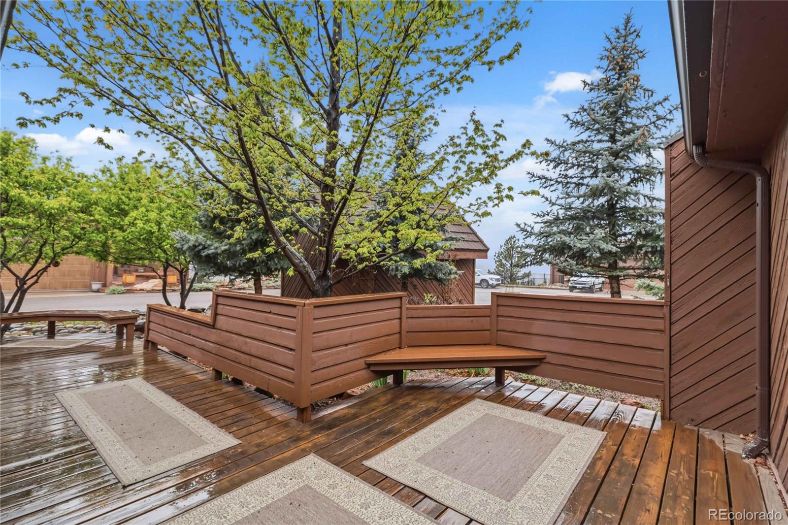 MLS Image #6 for 4535  sentinel rock  ,larkspur, Colorado