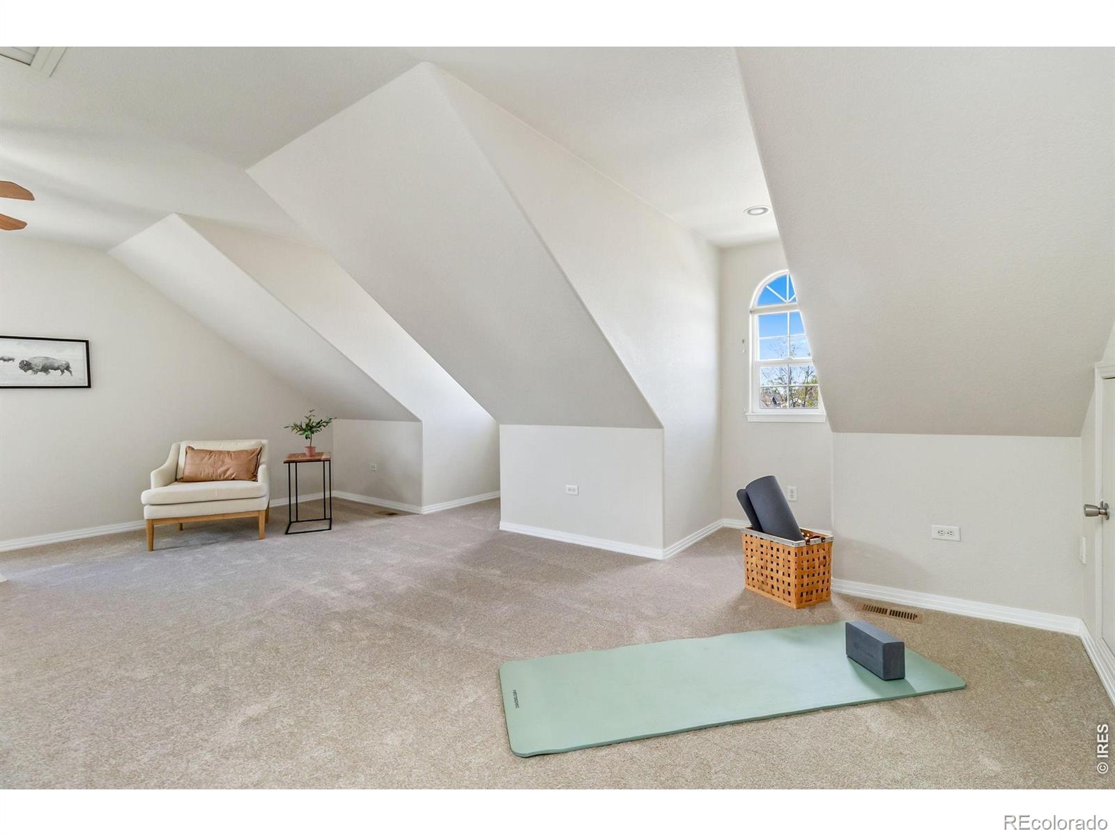 MLS Image #22 for 2839  canby way,fort collins, Colorado