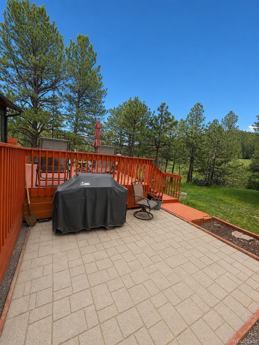 MLS Image #36 for 25193 n turkey creek road,evergreen, Colorado