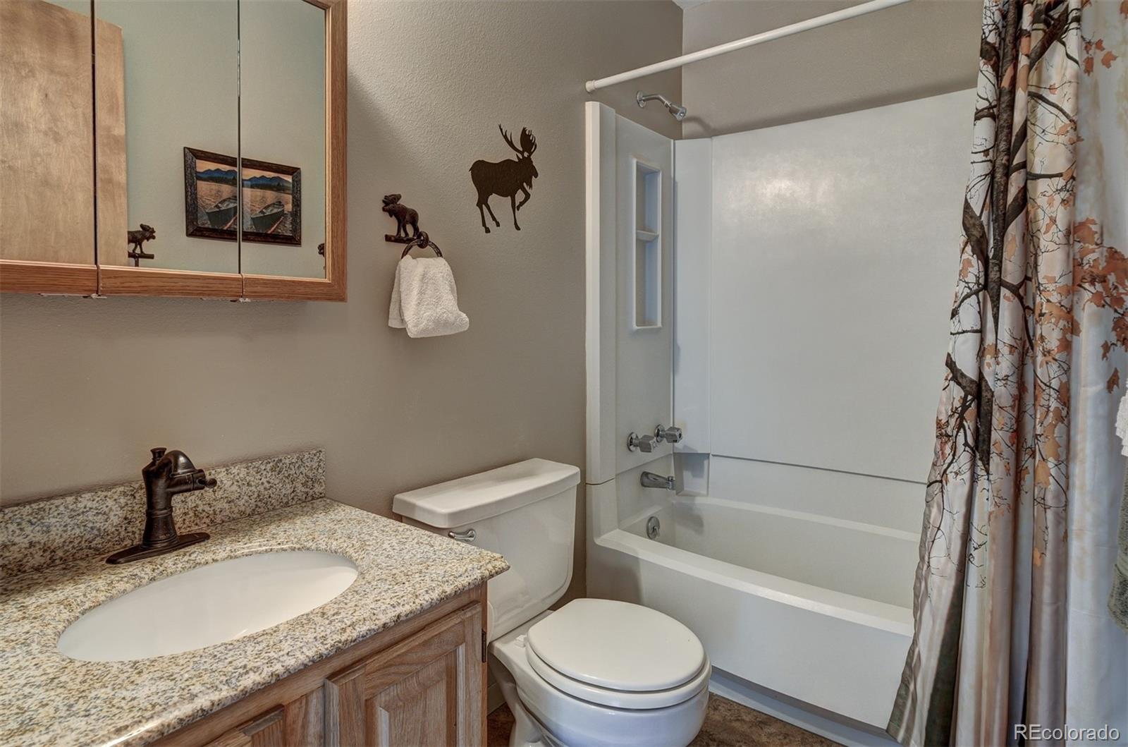 MLS Image #12 for 227  county road 4421 ,grand lake, Colorado
