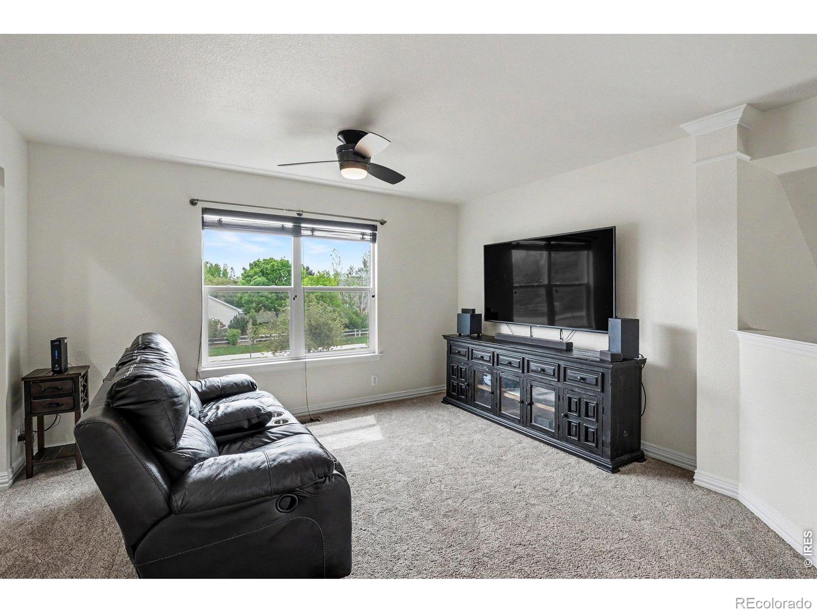 MLS Image #21 for 101  whitney court,windsor, Colorado