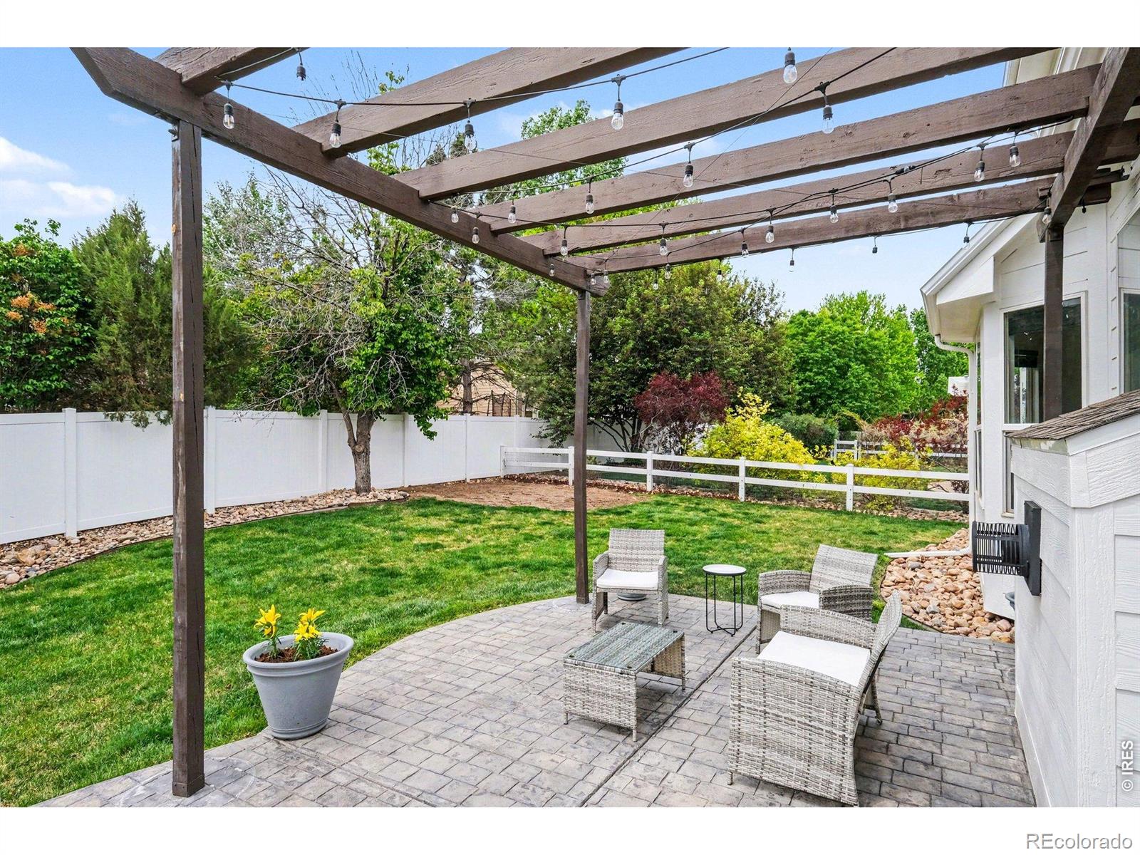MLS Image #29 for 101  whitney court,windsor, Colorado