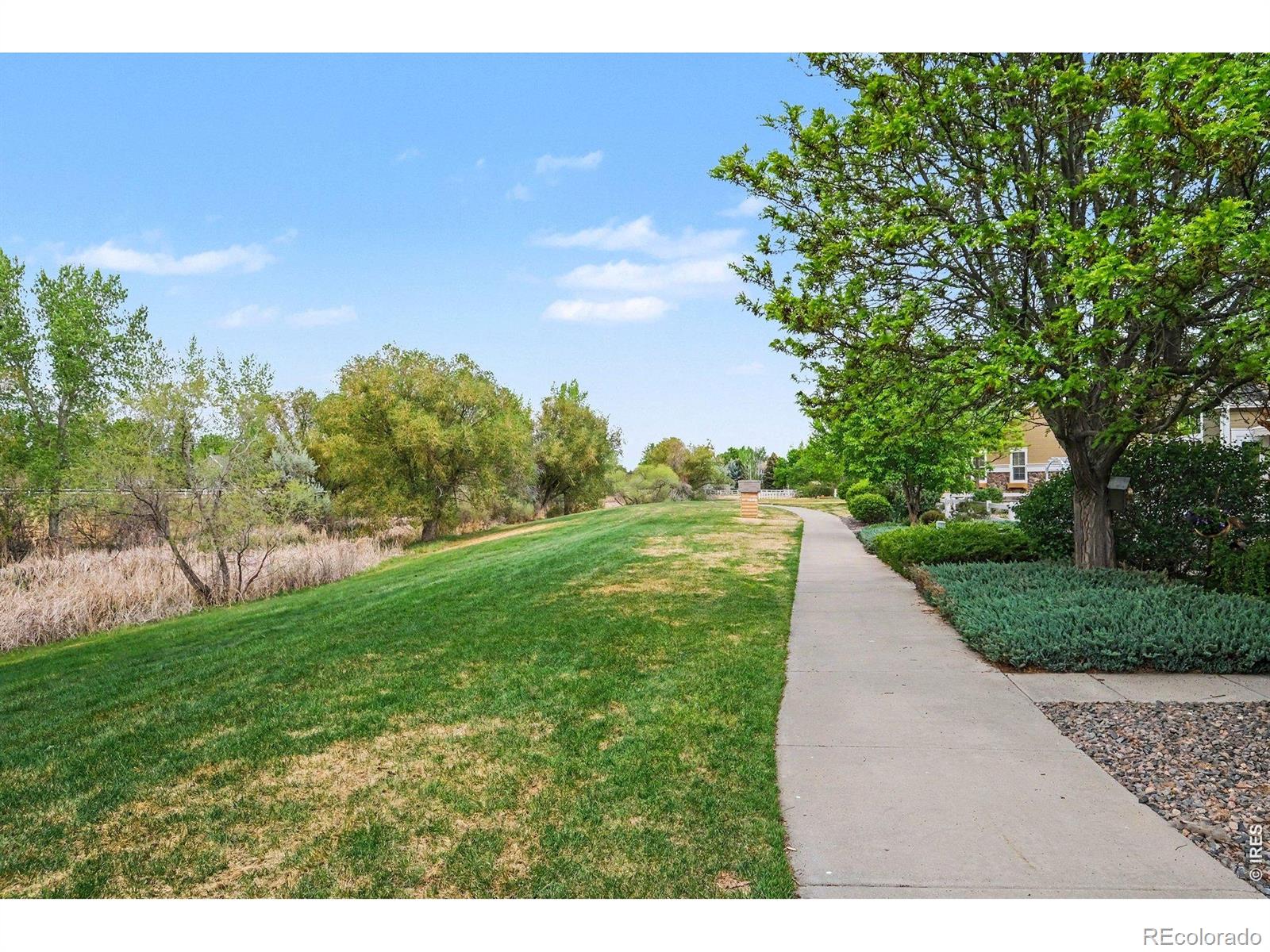 MLS Image #30 for 101  whitney court,windsor, Colorado