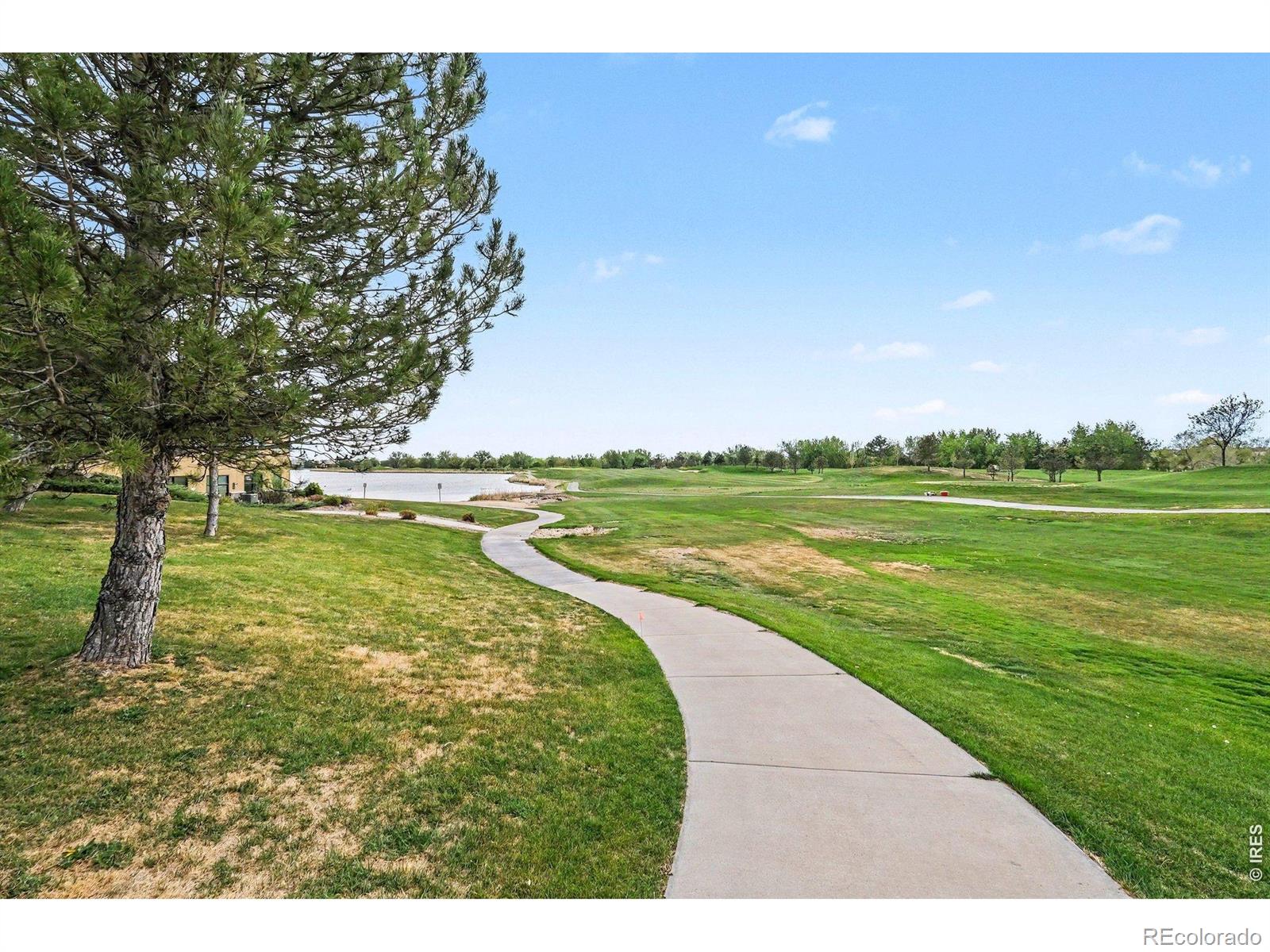MLS Image #32 for 101  whitney court,windsor, Colorado