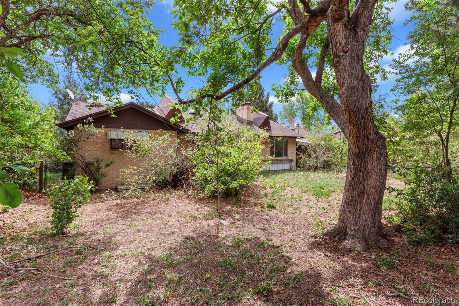 MLS Image #21 for 835  hoyt street,lakewood, Colorado