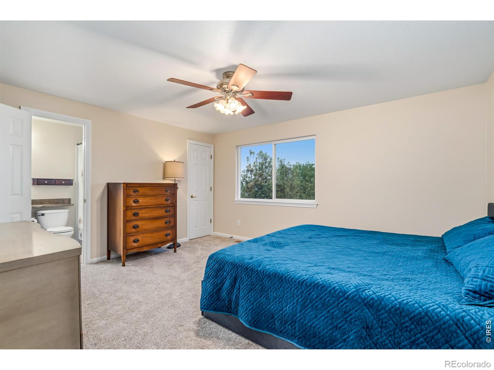 MLS Image #20 for 632  agate court,fort collins, Colorado