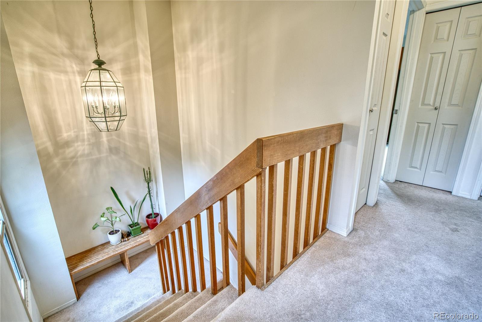 MLS Image #13 for 311  wadsworth court,longmont, Colorado