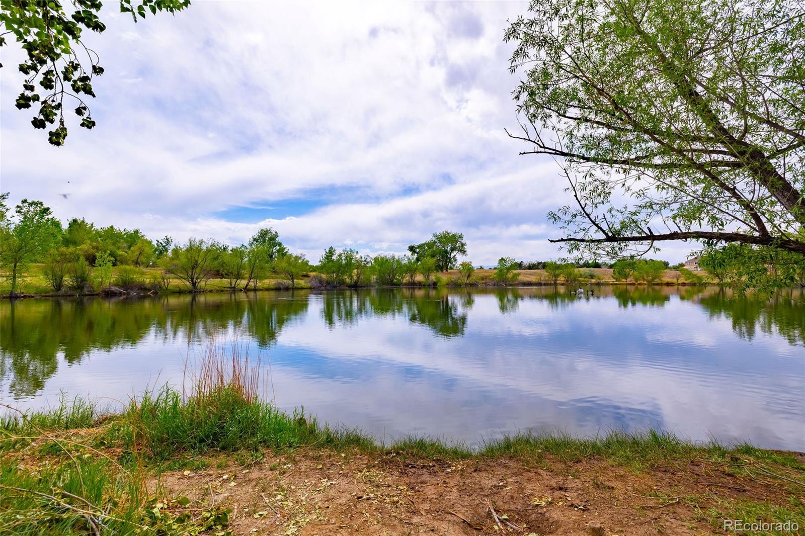 MLS Image #38 for 2620 w 110th avenue,denver, Colorado