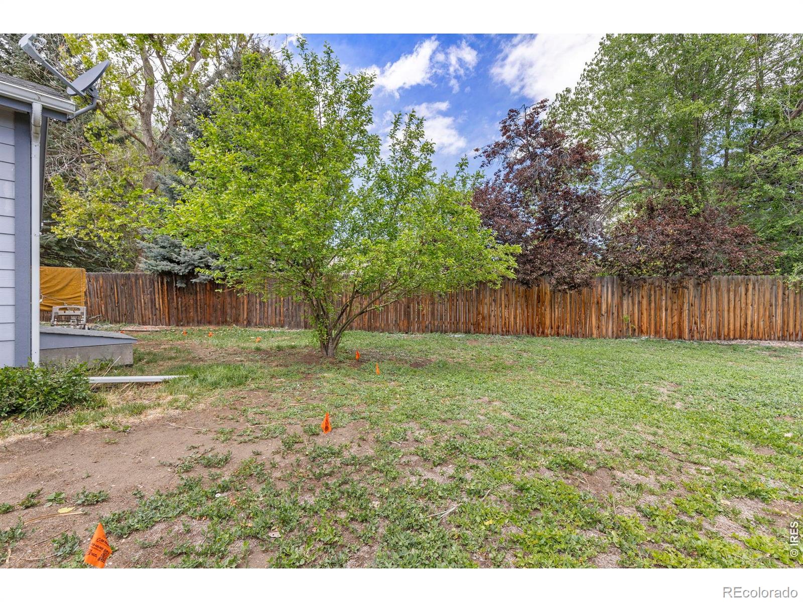 MLS Image #23 for 1221  raven place,loveland, Colorado