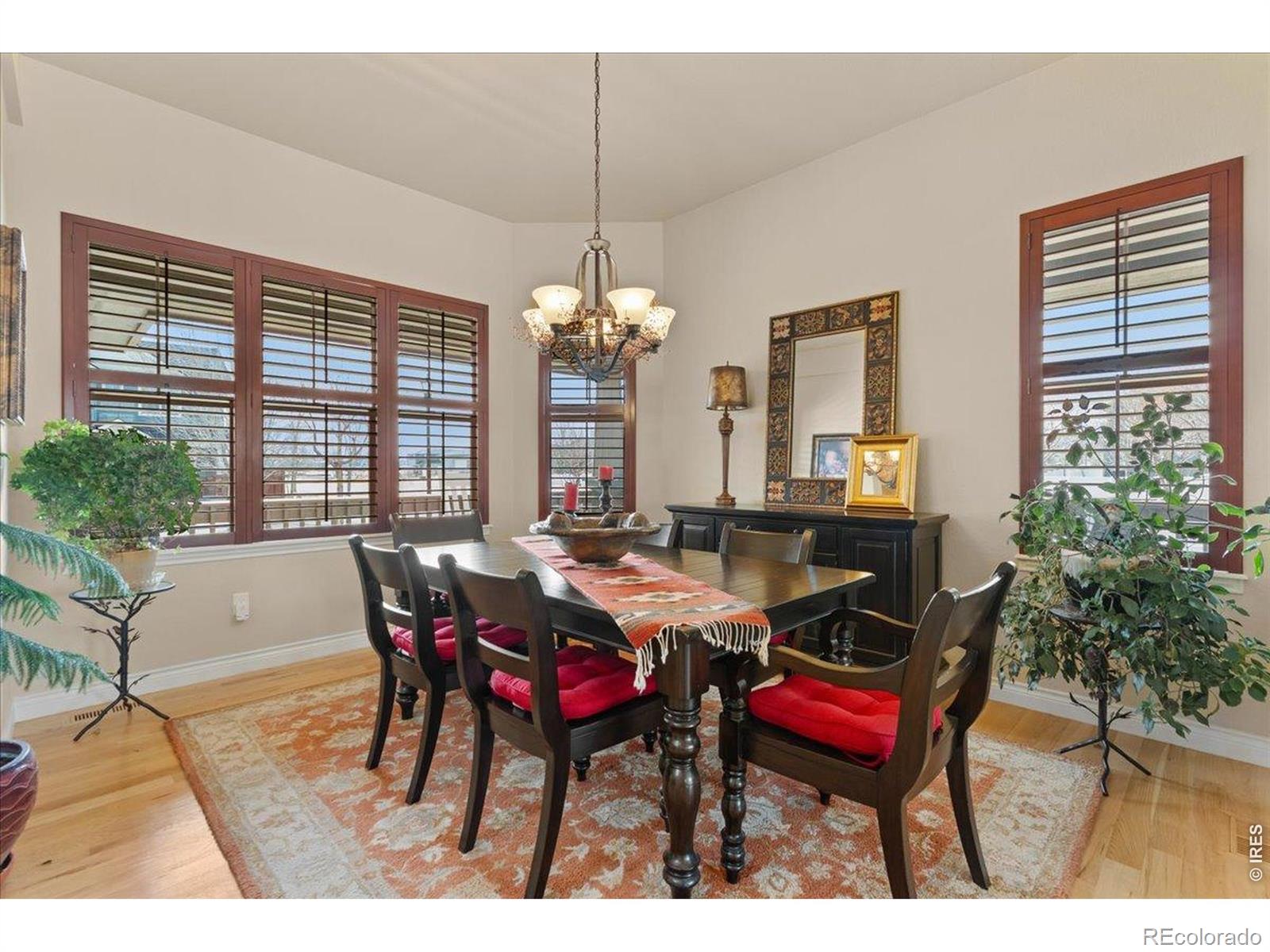 MLS Image #16 for 1624  chokeberry street,berthoud, Colorado