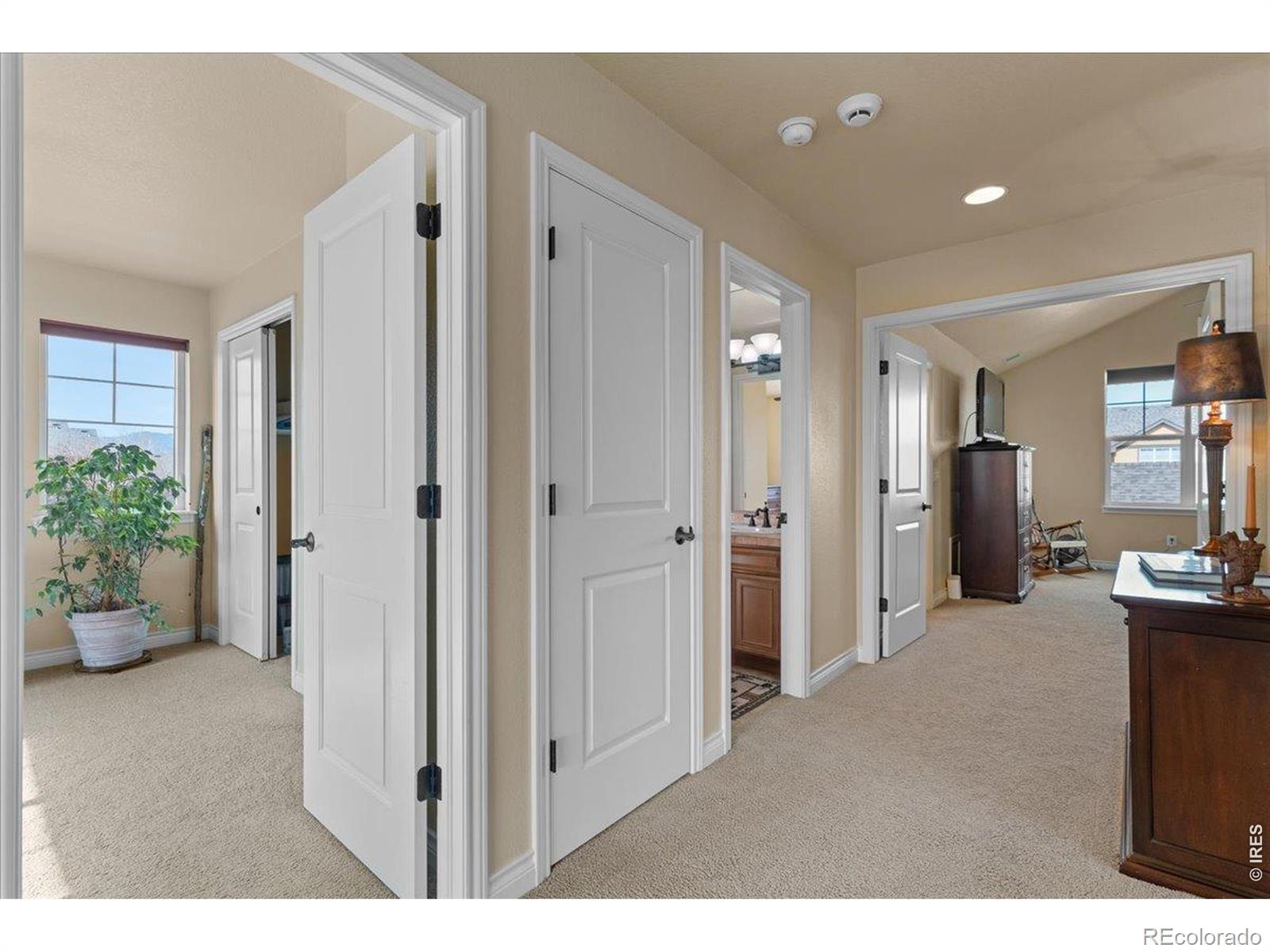 MLS Image #22 for 1624  chokeberry street,berthoud, Colorado