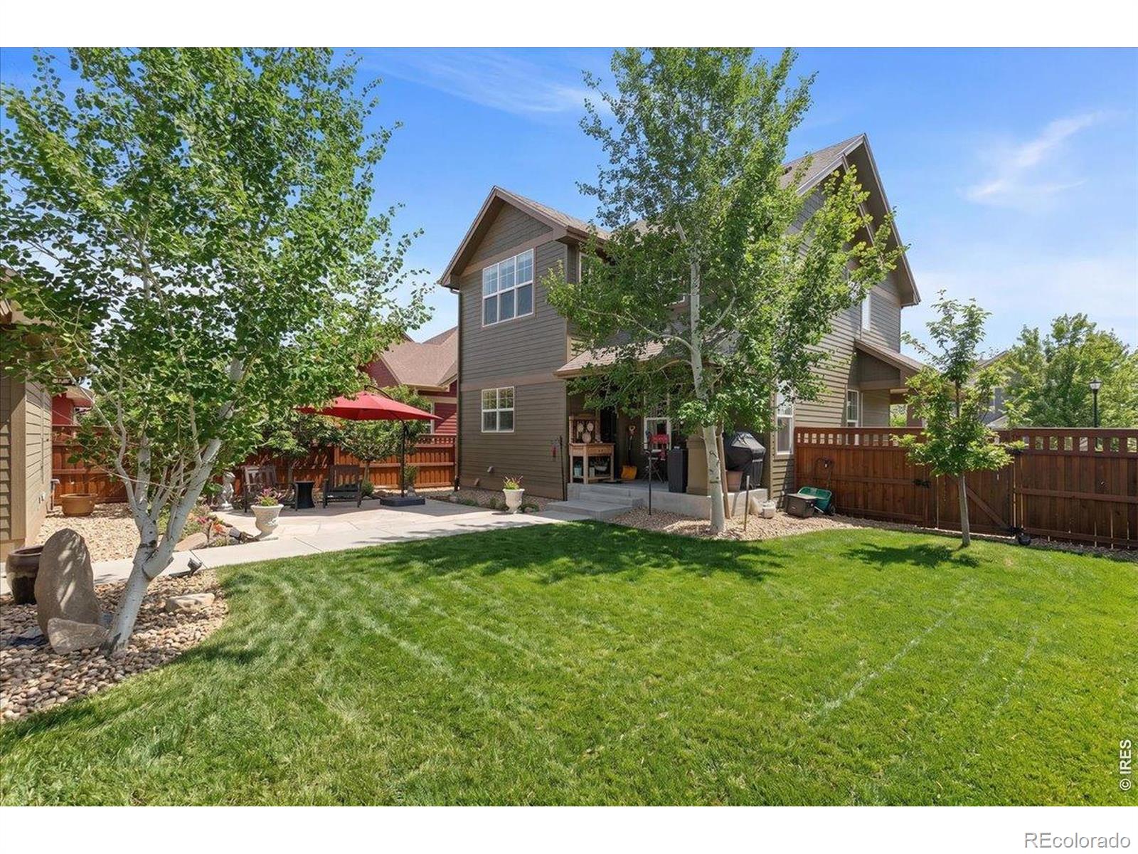 MLS Image #3 for 1624  chokeberry street,berthoud, Colorado