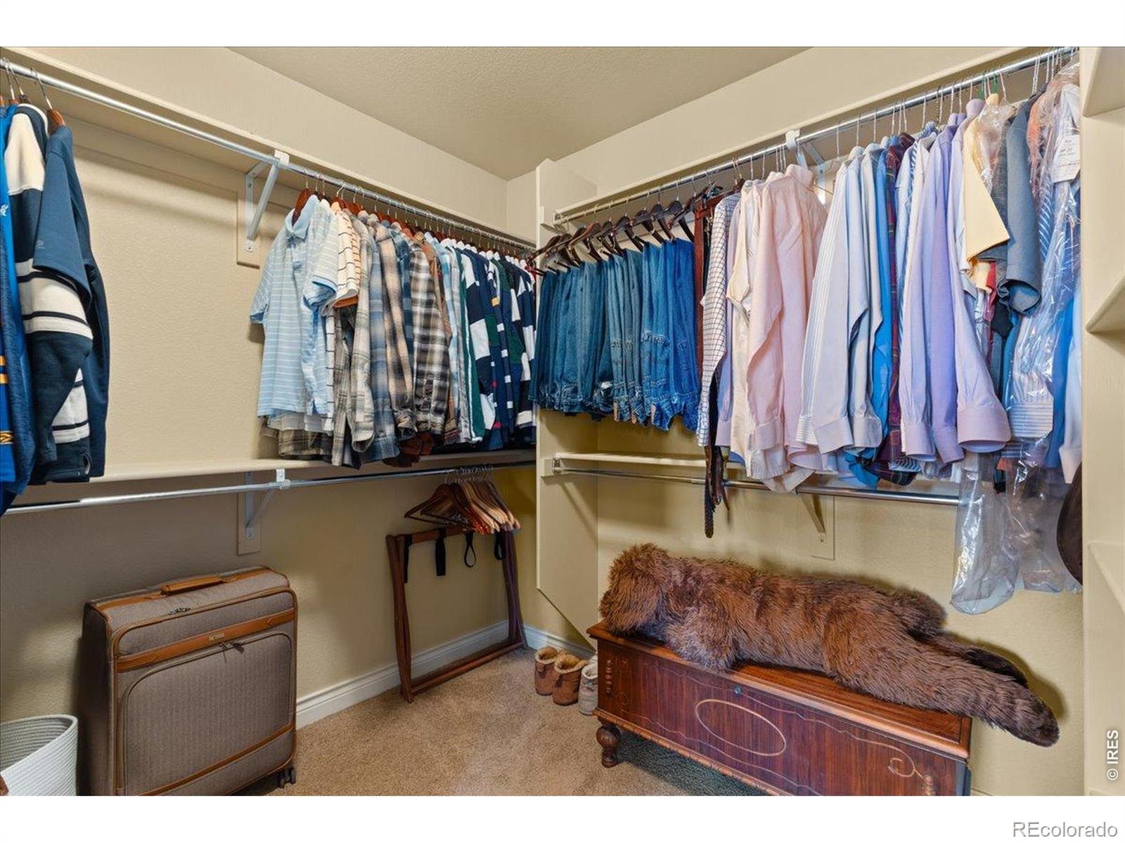 MLS Image #31 for 1624  chokeberry street,berthoud, Colorado