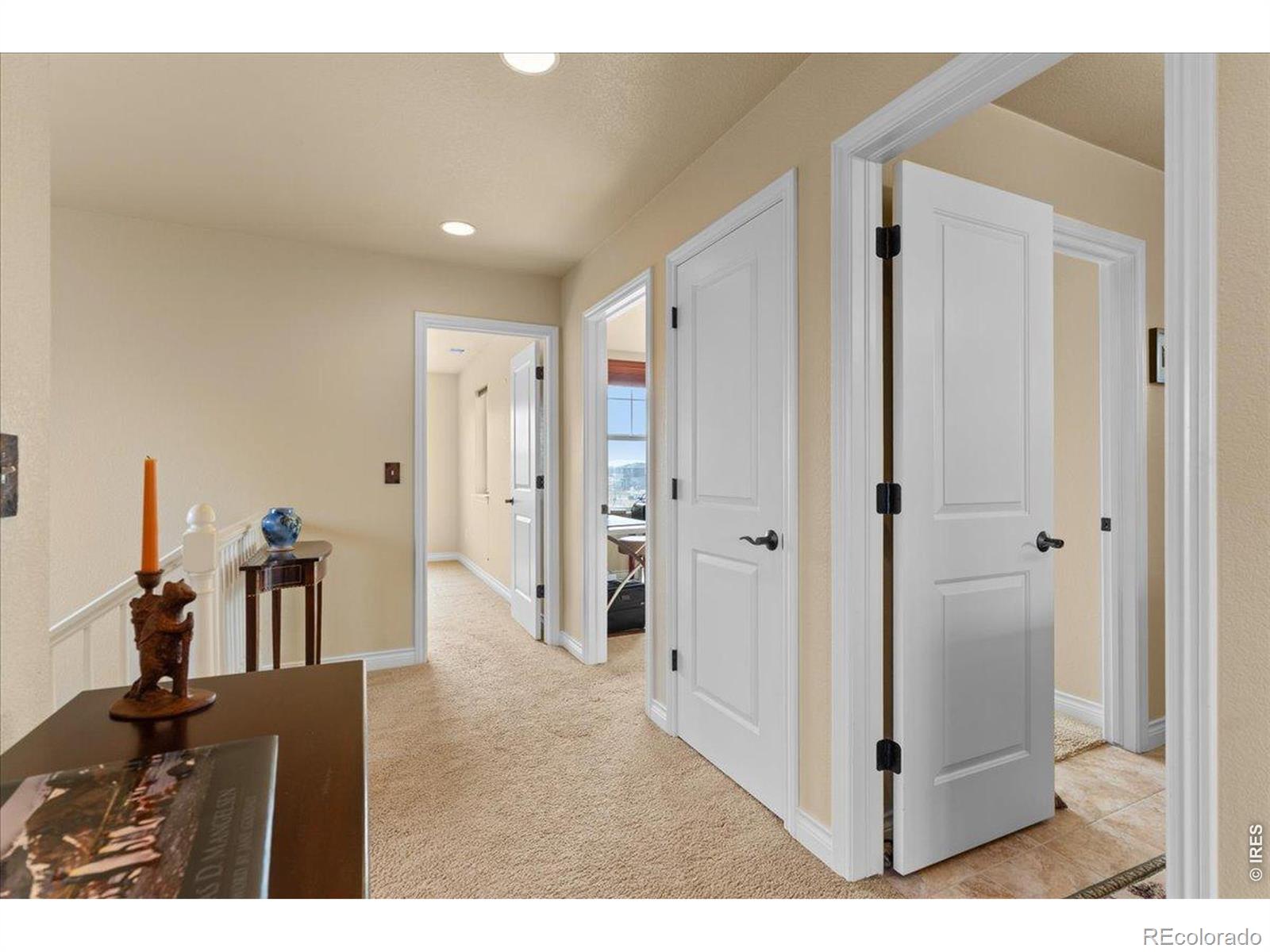 MLS Image #34 for 1624  chokeberry street,berthoud, Colorado