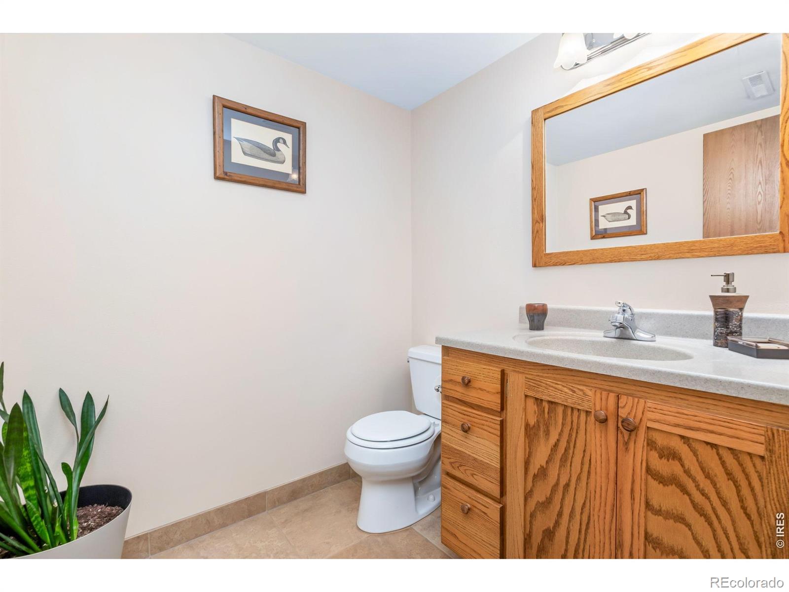 MLS Image #18 for 2813  dundee court,fort collins, Colorado