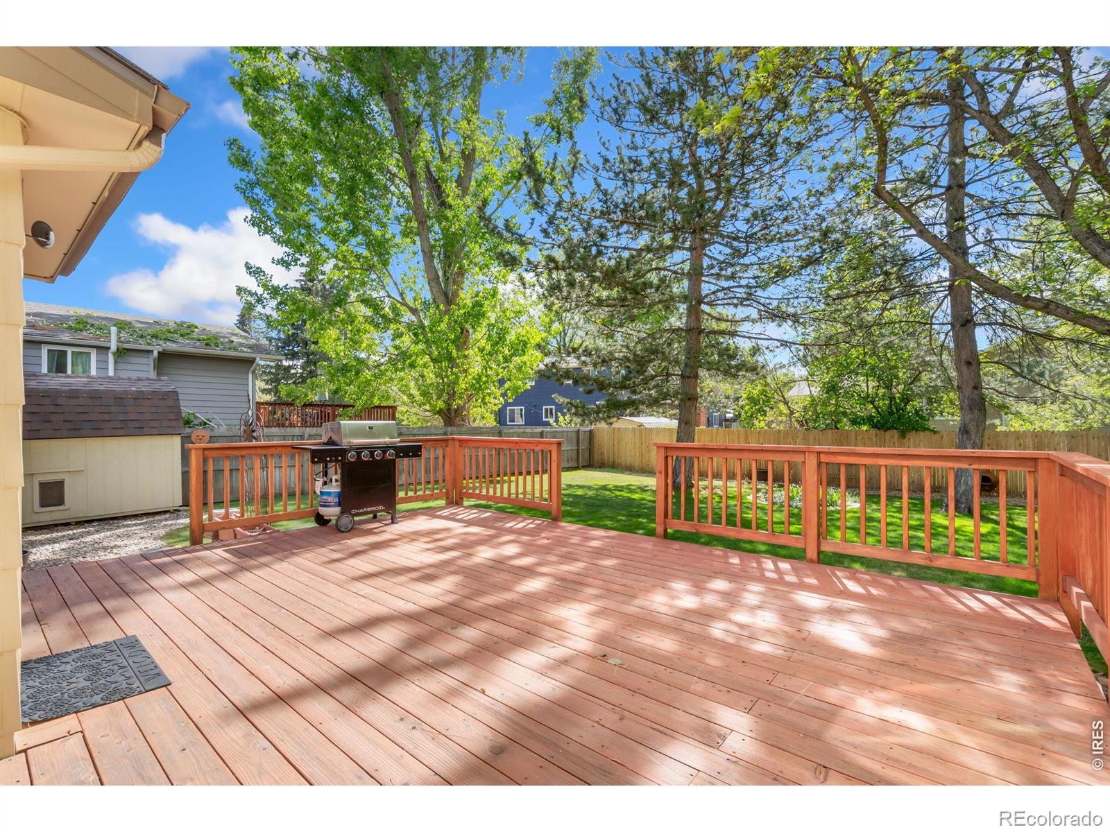 MLS Image #6 for 2813  dundee court,fort collins, Colorado