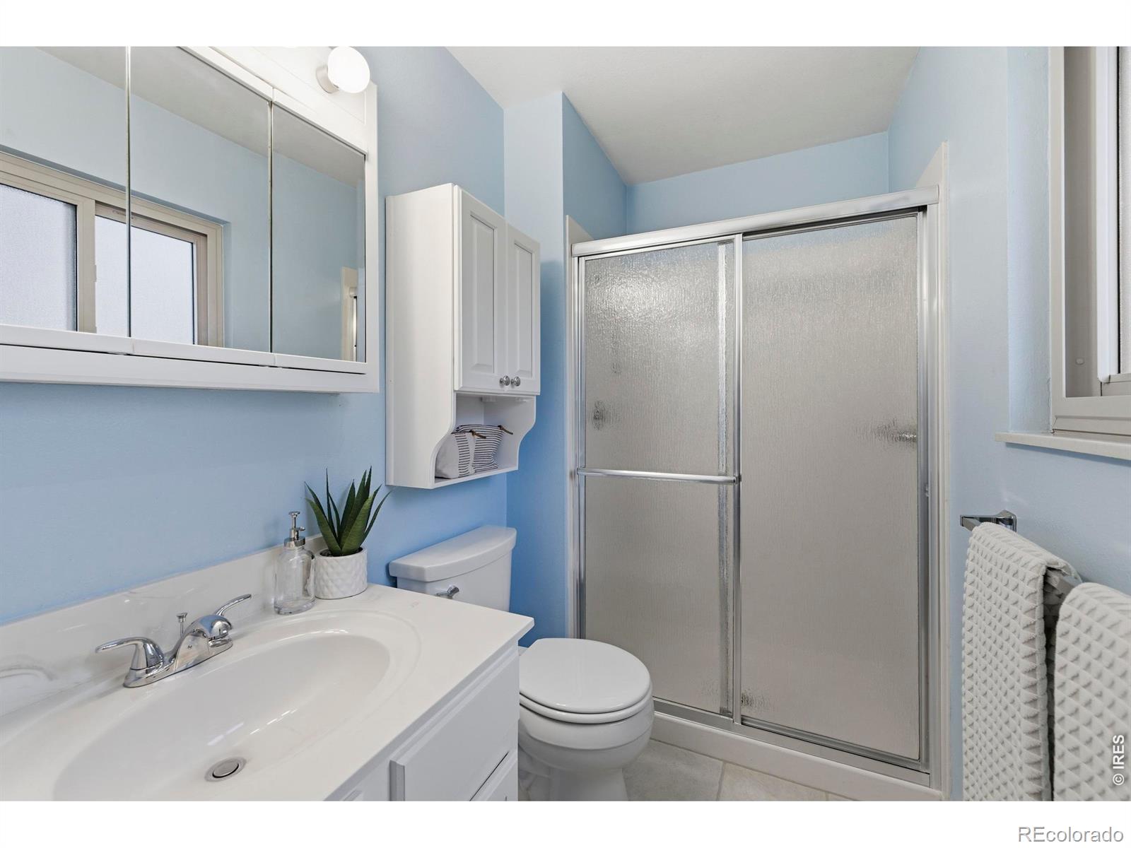 MLS Image #14 for 3014  alamo avenue,fort collins, Colorado