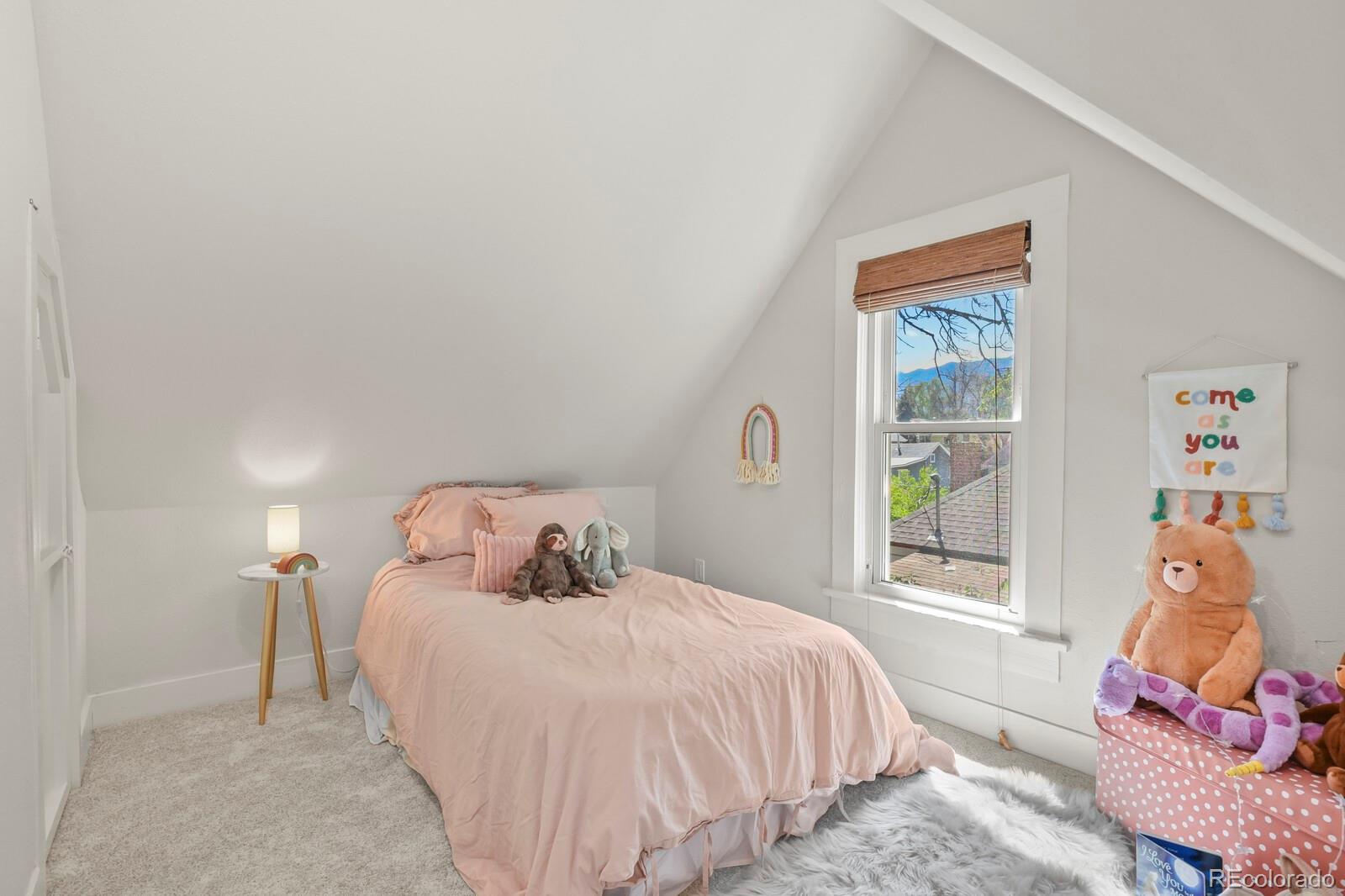 MLS Image #29 for 415 e san rafael street,colorado springs, Colorado