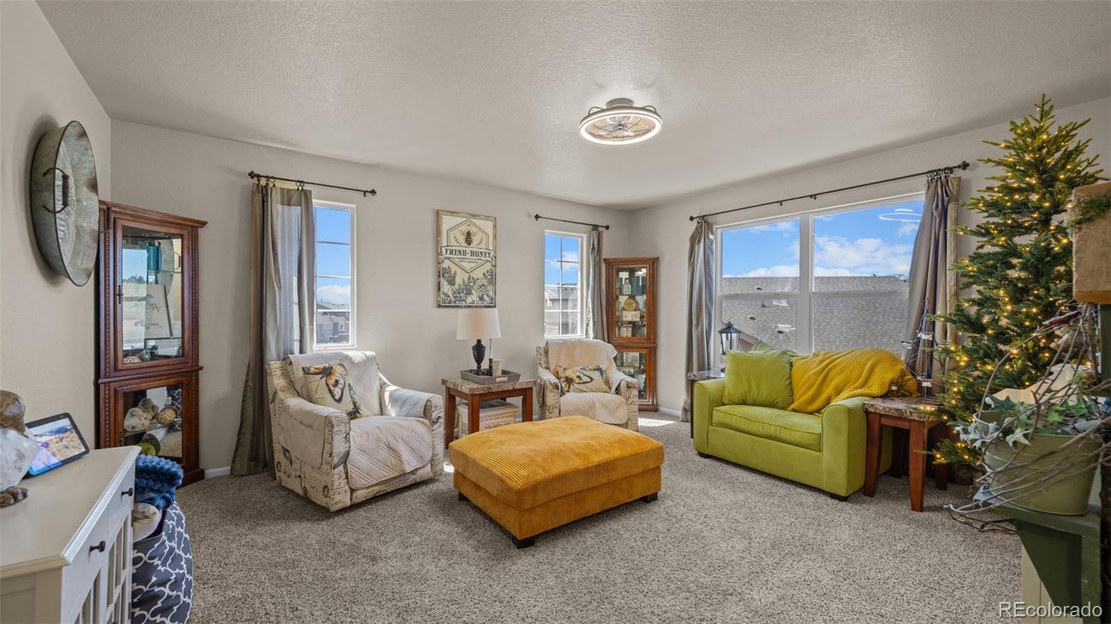 MLS Image #22 for 7507  forest valley loop,colorado springs, Colorado