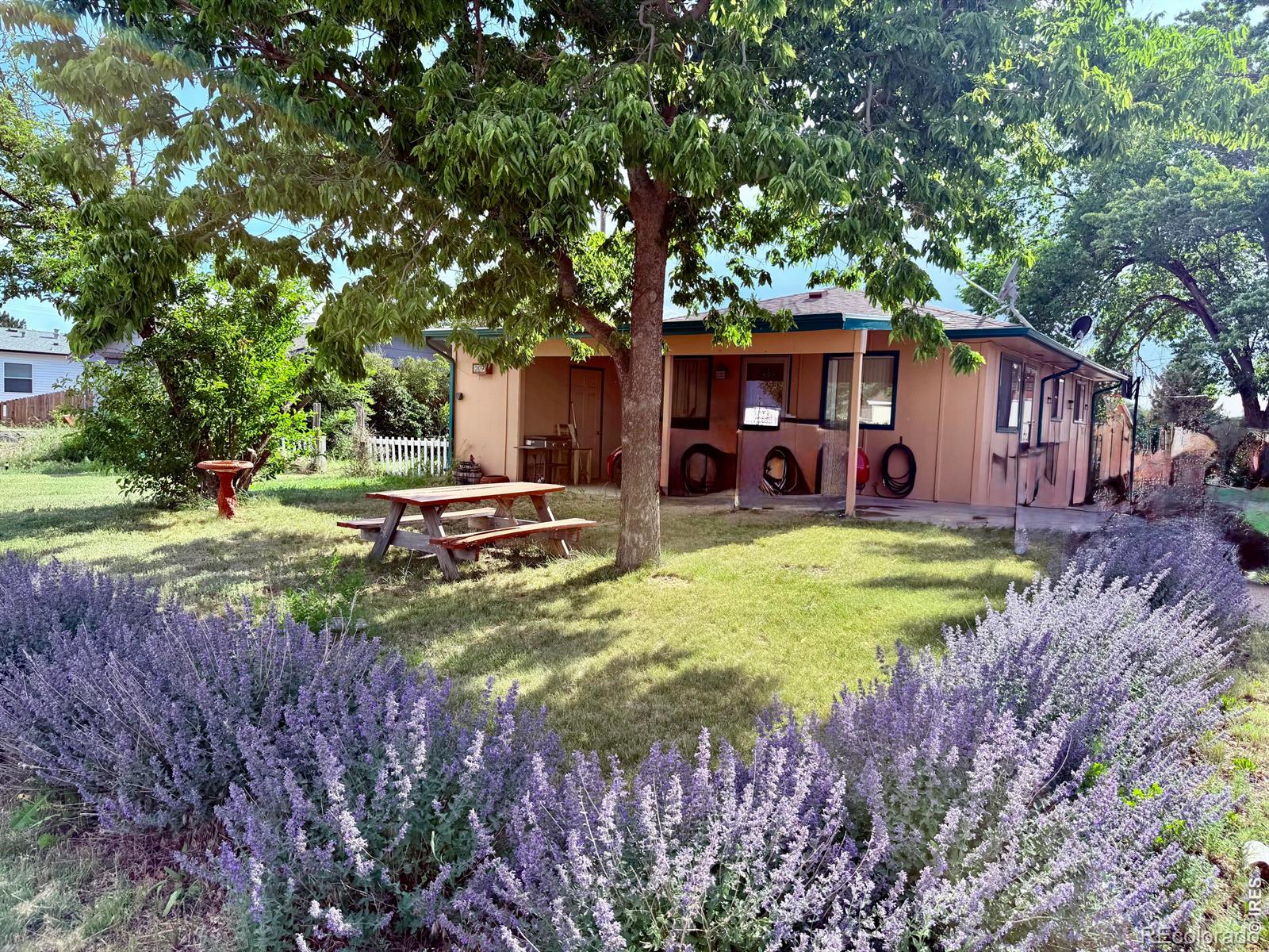MLS Image #0 for 309  4th street,pierce, Colorado